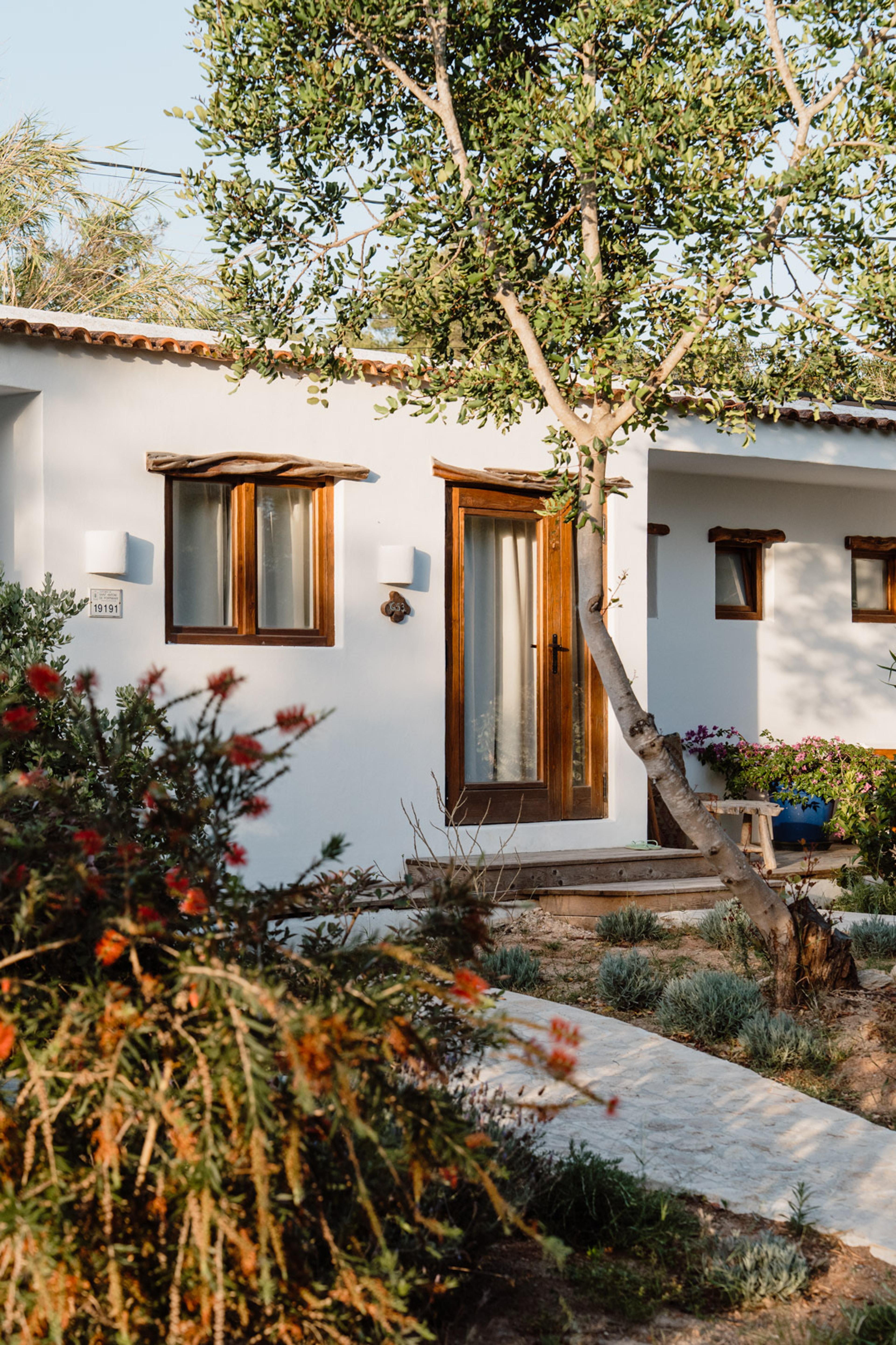 A whitewashed cottage entrance framed by a pine tree and flowering shrubs, with a wooden door and shuttered windows.