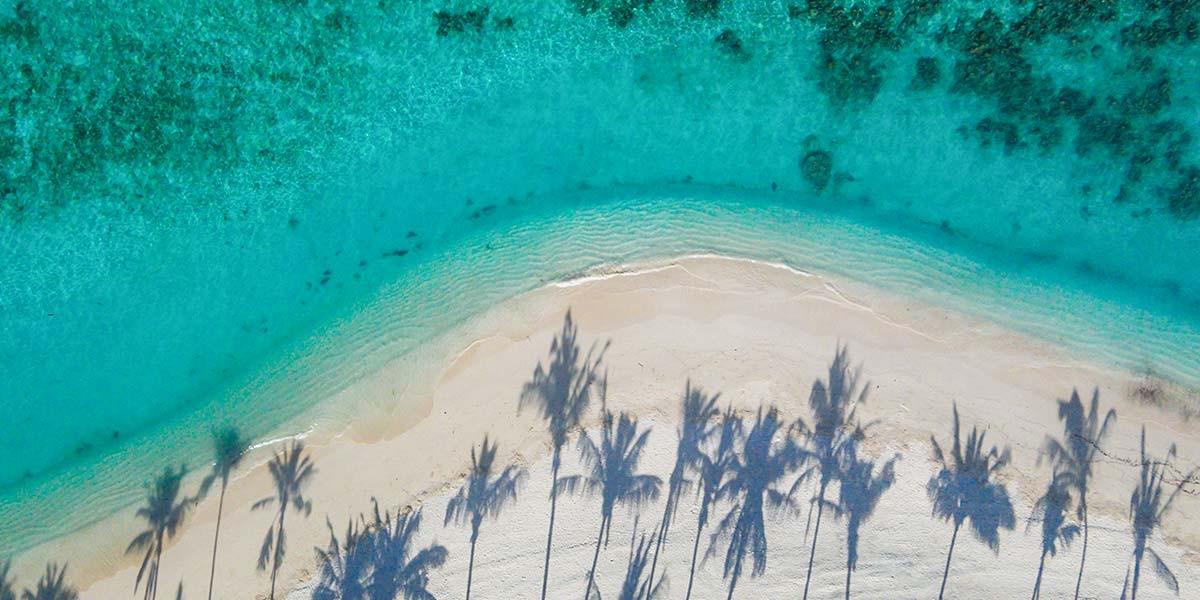 An aerial view of a curving white sand point between pale turquoise shallows and a darker reef, palm trees casting long shadows across the sand.
