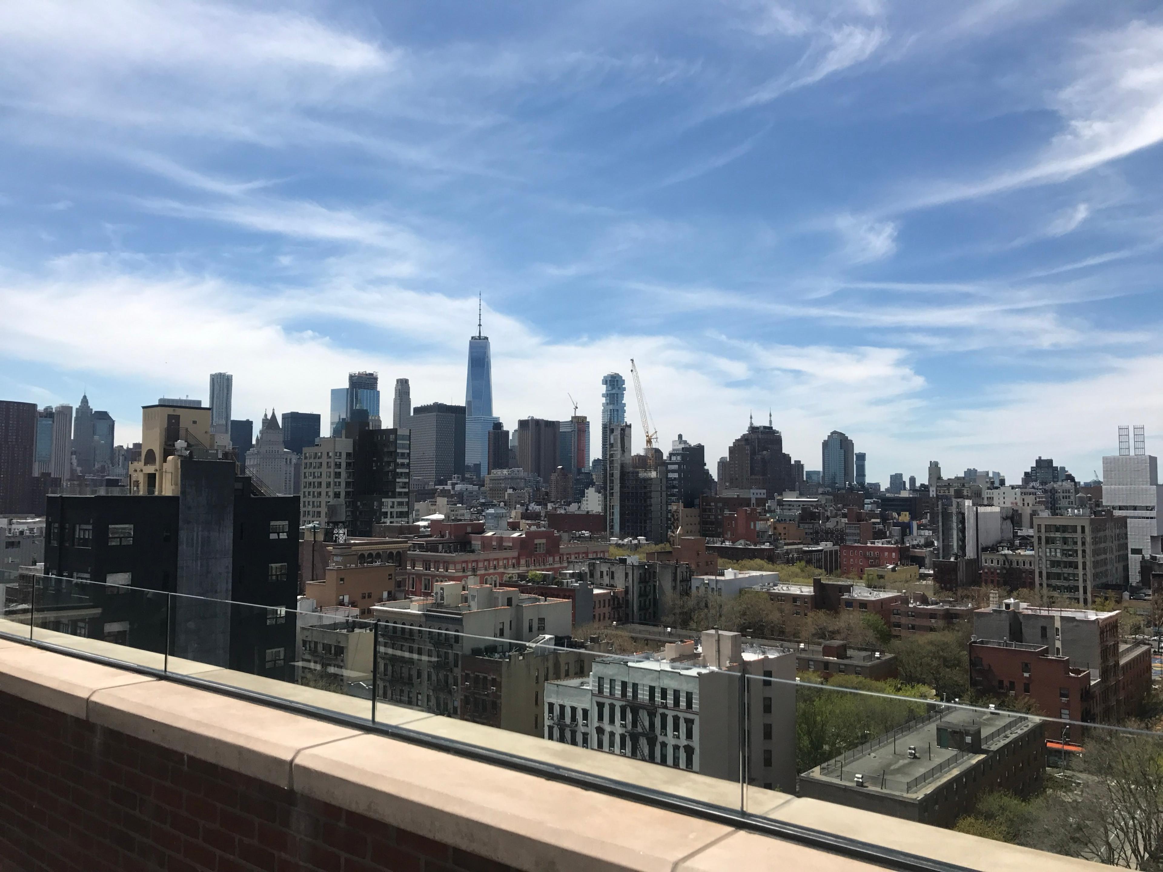 Lower Manhattan from a Lower East Side rooftop, One World Trade Center rising over the rooftops under a big spring sky