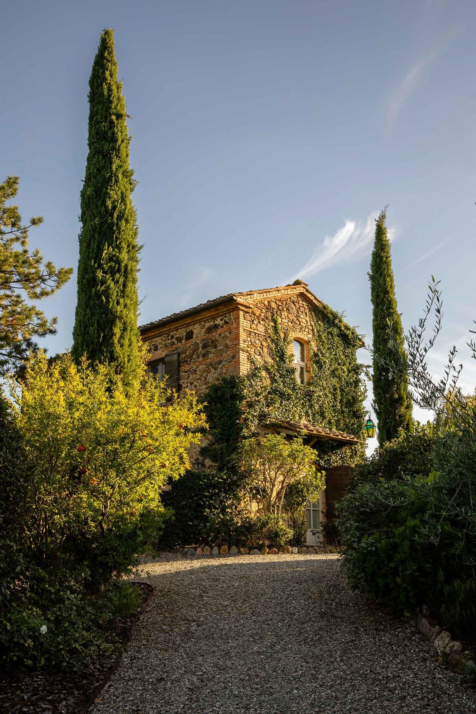 A gravel path lined with tall cypress trees leading up to a stone farmhouse tower lit by late afternoon sun.