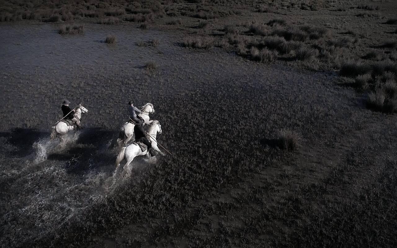 Two riders on white horses crossing marshland at dusk, water splashing beneath the horses' hooves, seen from above.