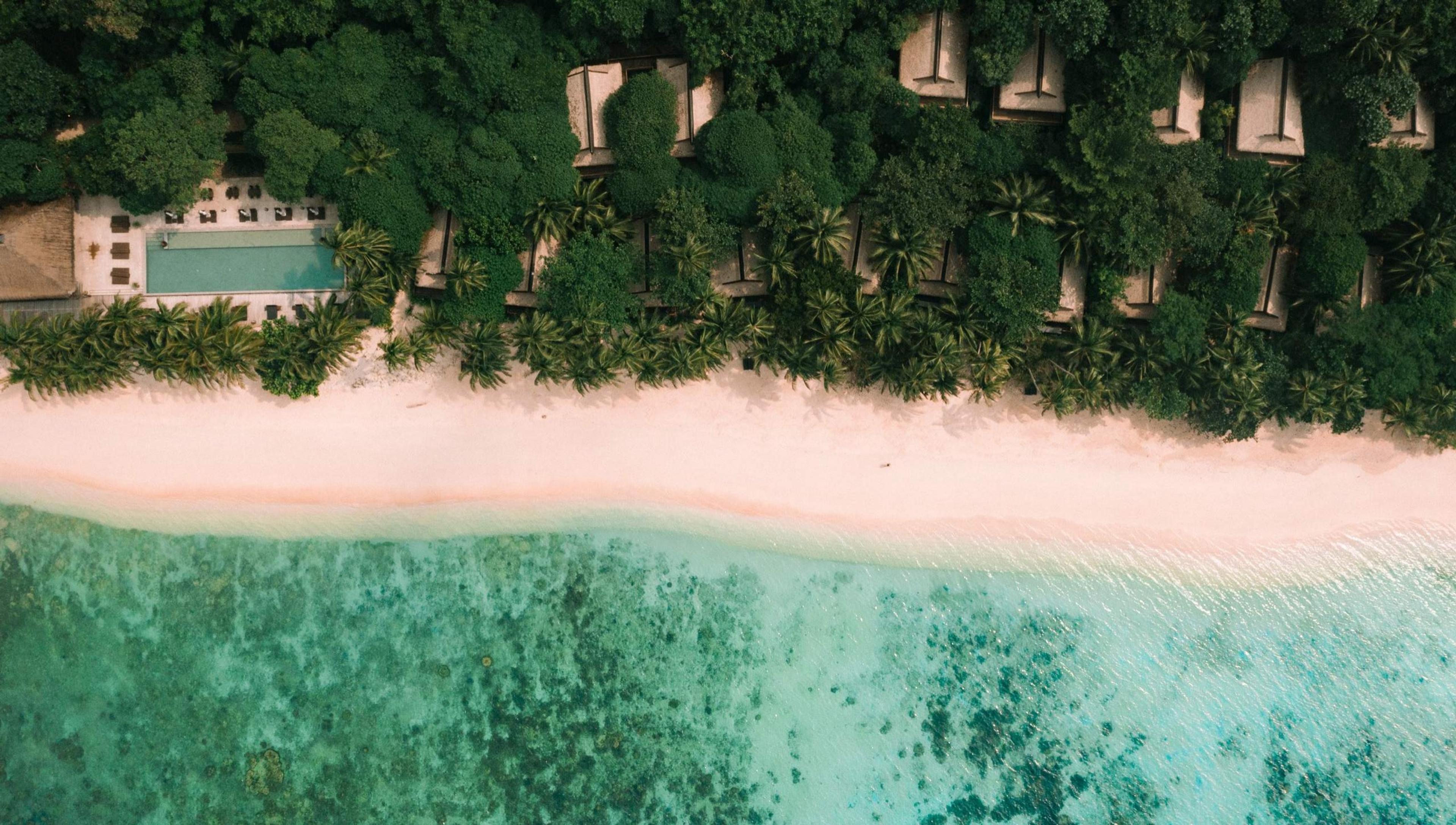 Looking straight down at a white beach where the forest meets pale green water.