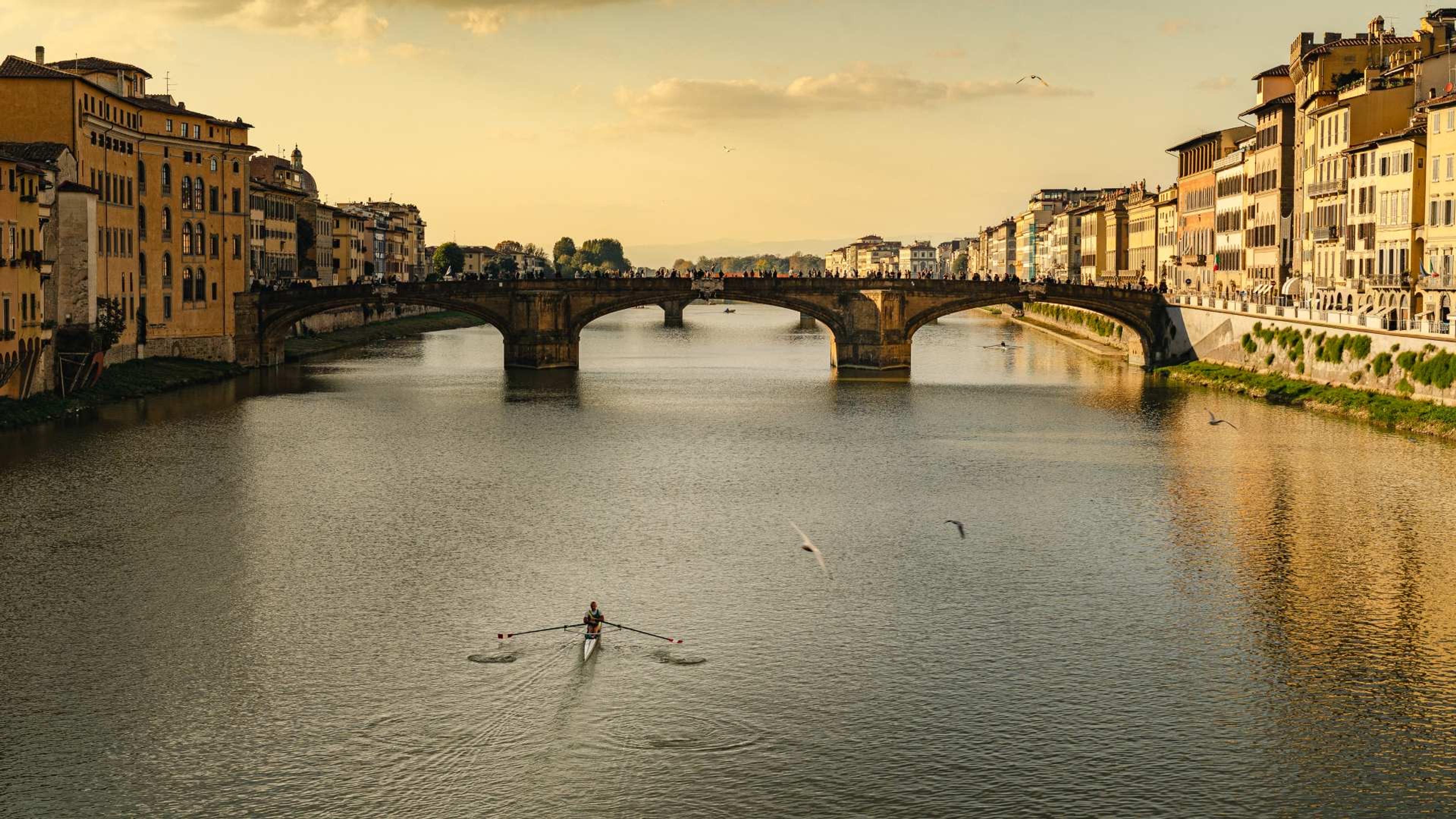 A view along the Arno at golden hour, a stone bridge crossing the river, a single rower in a scull on the water, and gulls in flight.