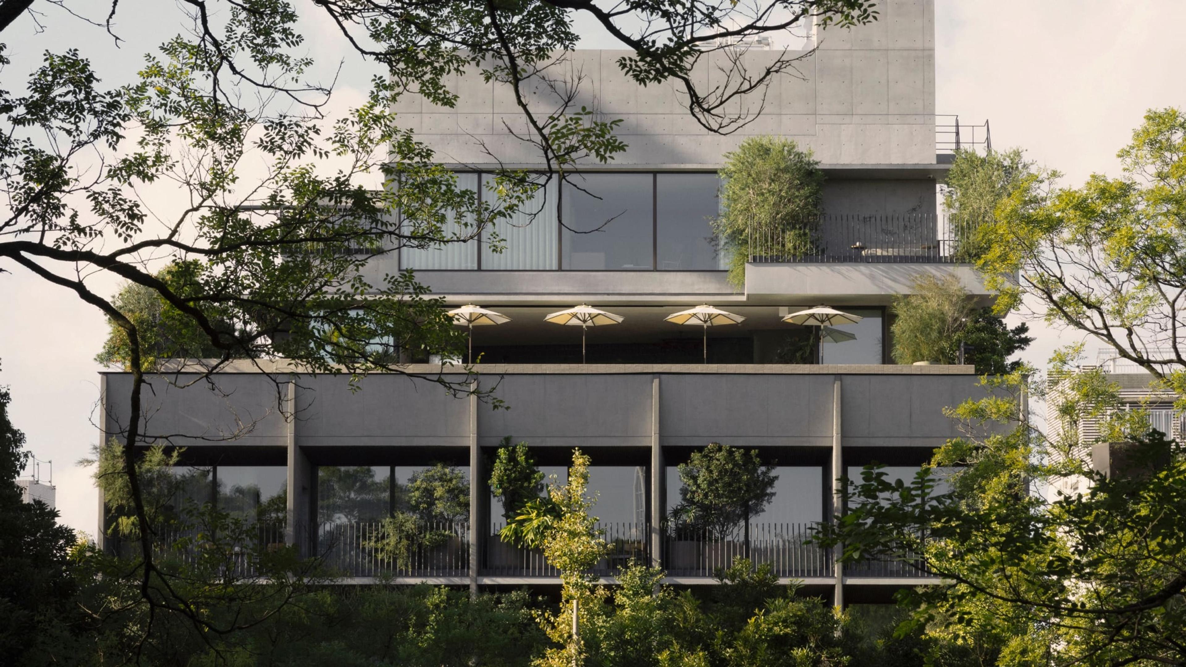 a multi-storey concrete and glass hotel building seen through tree branches, with striped umbrellas on a terrace