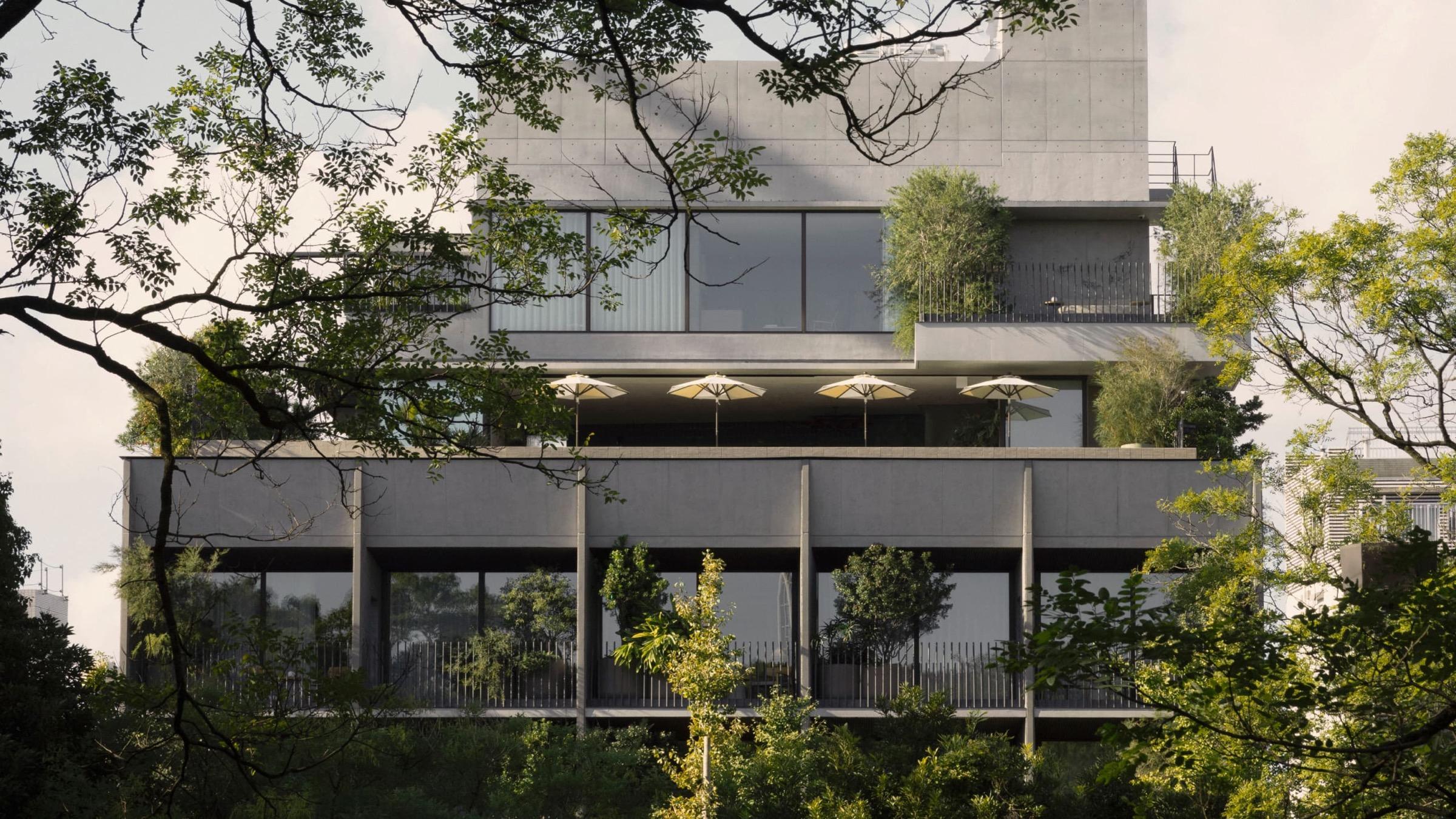 a multi-storey concrete and glass hotel building seen through tree branches, with striped umbrellas on a terrace