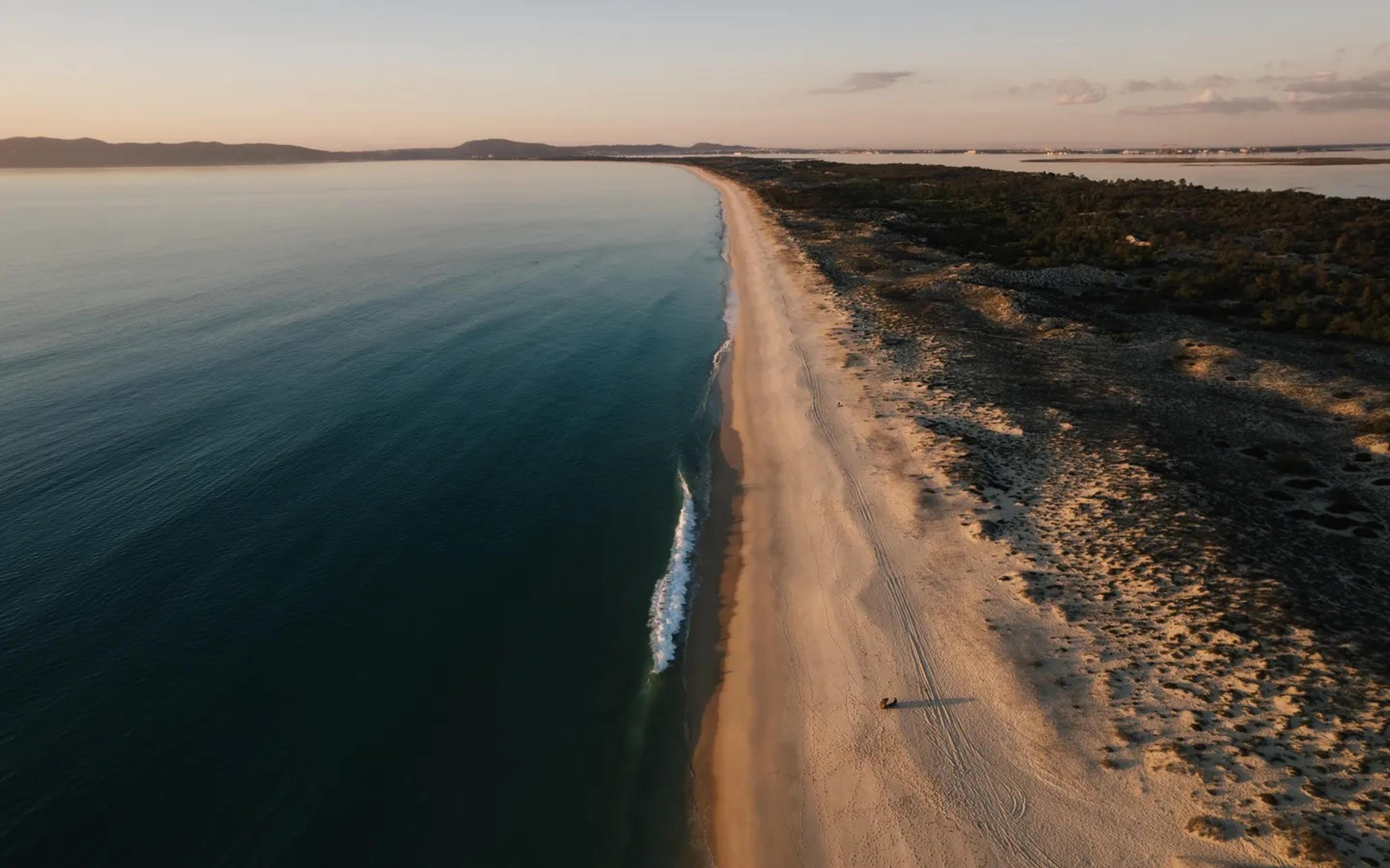An aerial view of a coastline at dusk, with a wave breaking along a long sandy beach bordered by scrubby dunes and a single vehicle track in the sand.