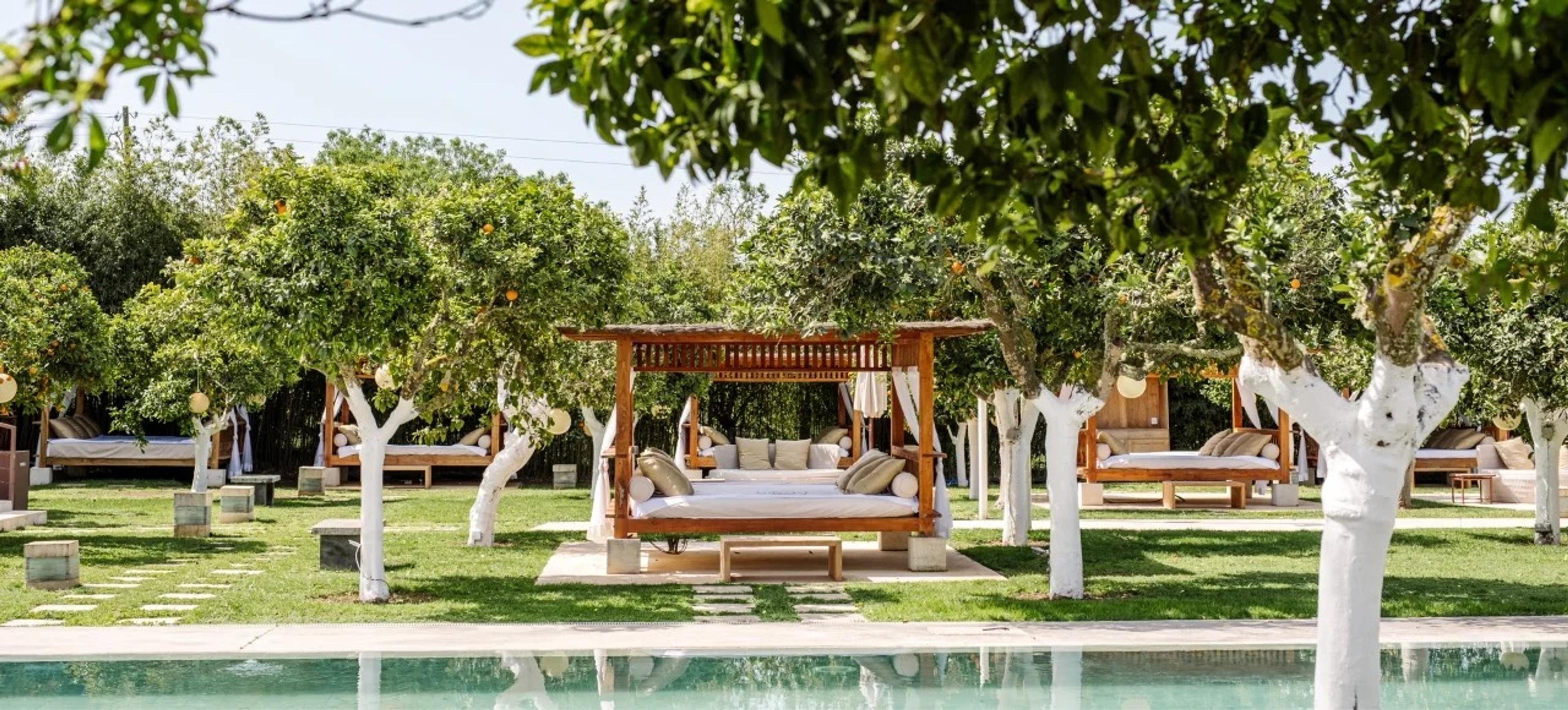 A row of thatched wooden daybeds along a reflecting pool, shaded by citrus trees with whitewashed trunks.