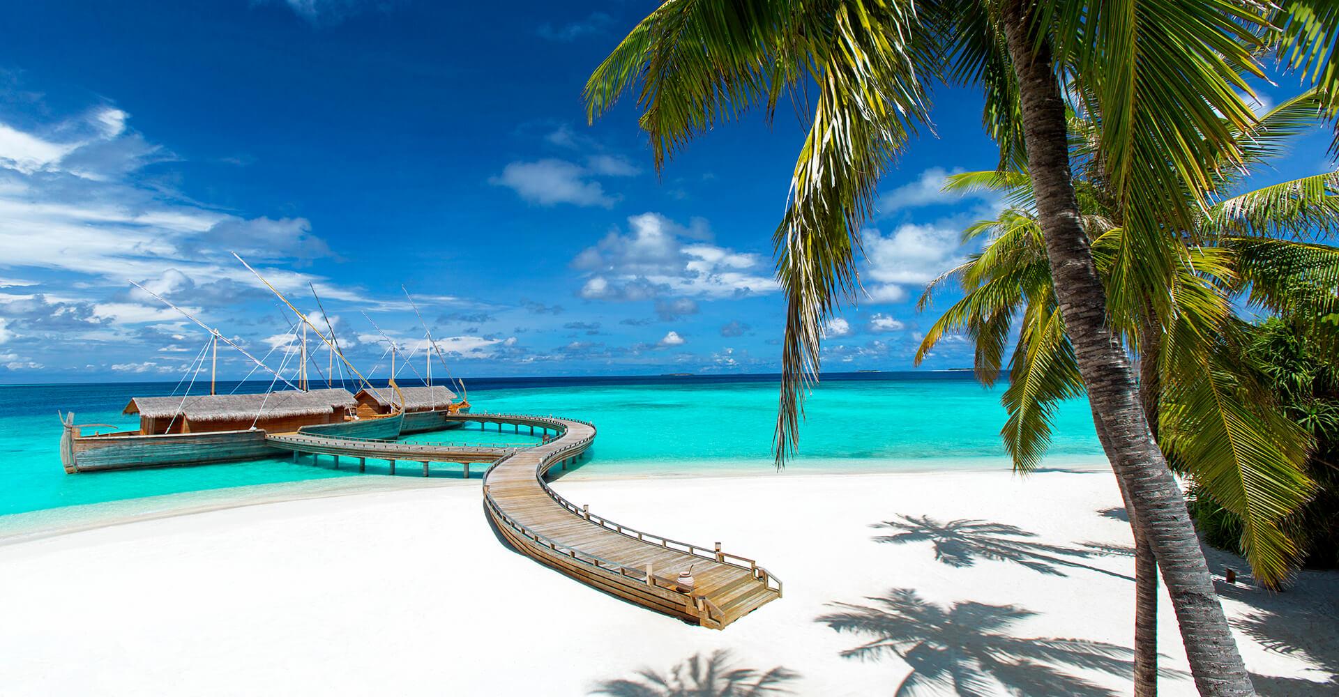 A wooden boardwalk curves across white sand to a cluster of thatched overwater structures shaped like traditional dhoni boats, seen past the fronds of a leaning palm tree.