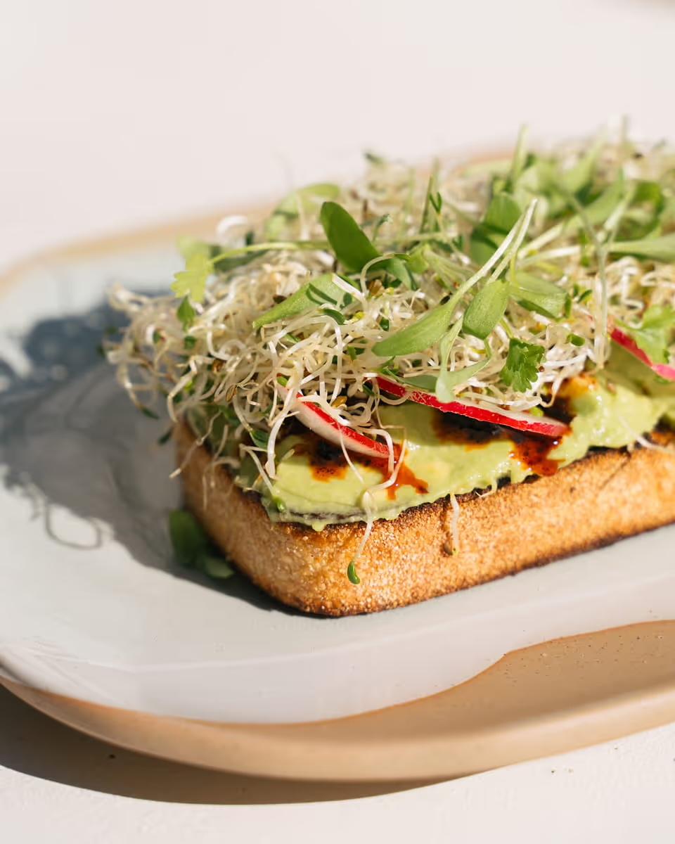 A thick slice of toast topped with mashed avocado, sliced radish, chilli oil, and a pile of sprouts and microgreens, on a white plate in direct sunlight.