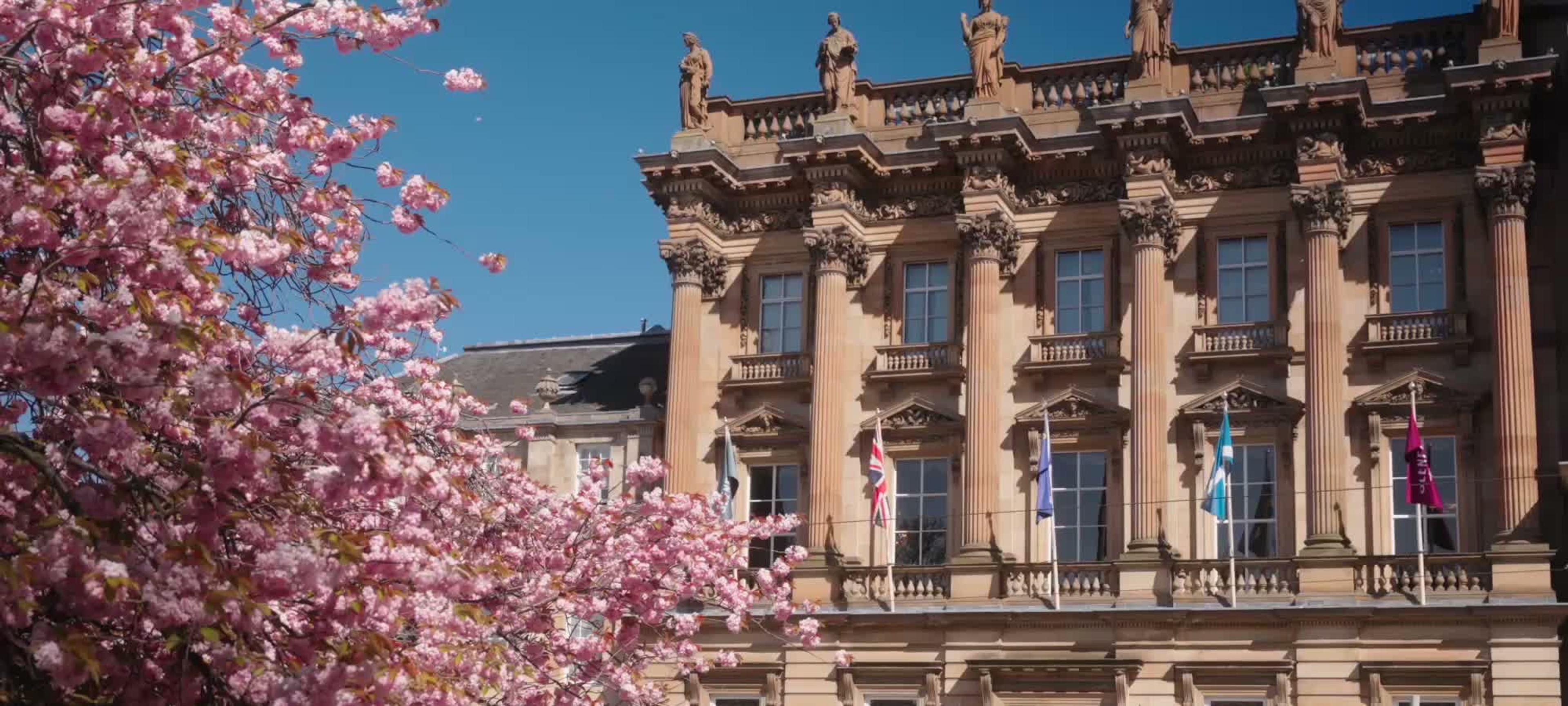 a sandstone building with classical columns and rooftop statues, seen past a tree in pink blossom against a blue sky