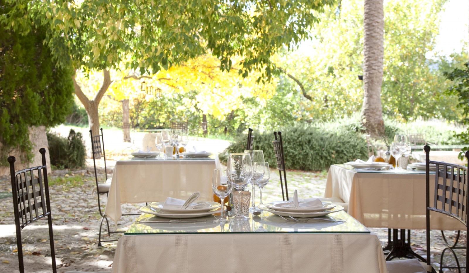Two tables laid for lunch with white linen, wine glasses and folded napkins, under trees dappled with autumn light.