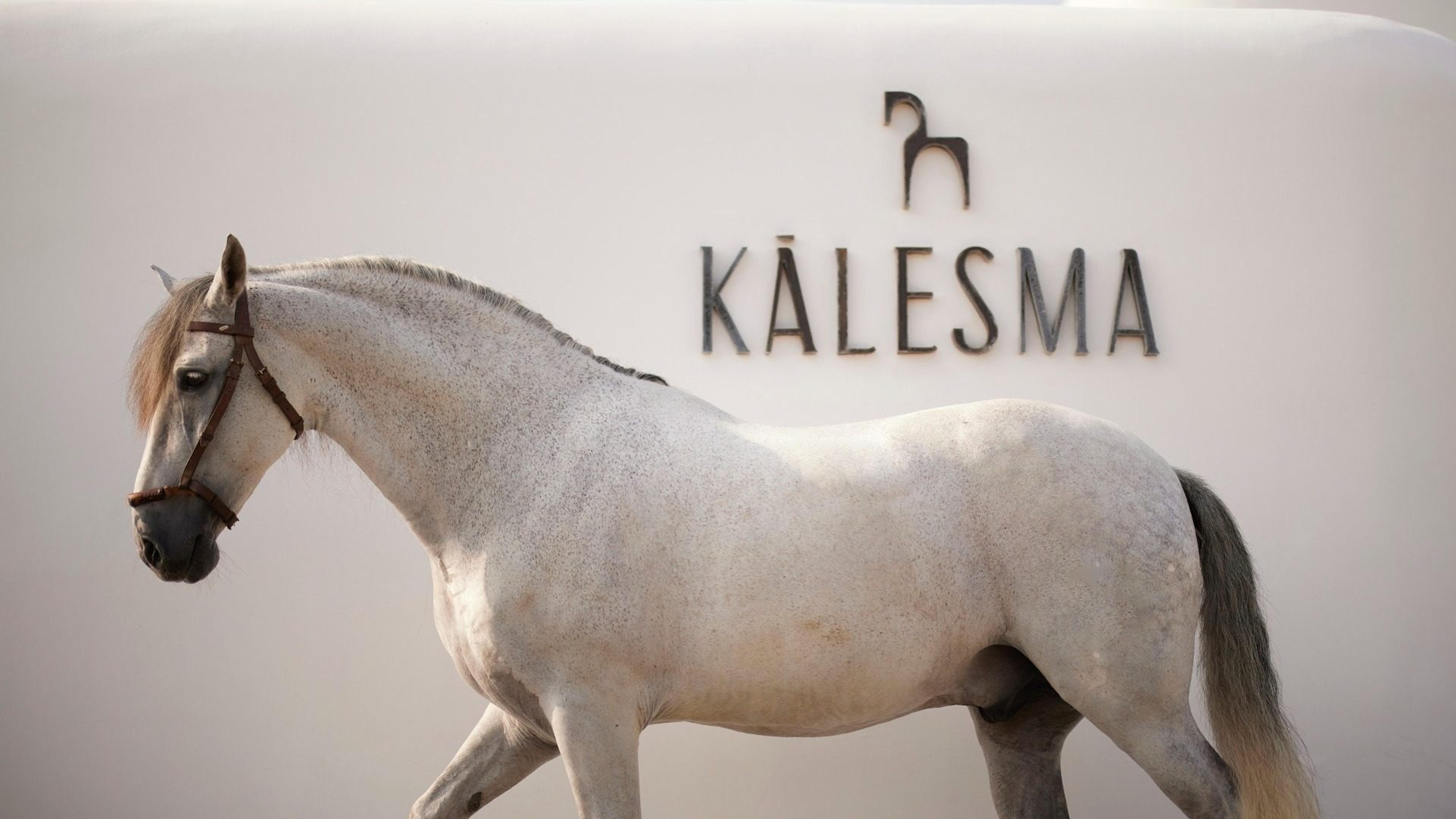 A white horse walks past the Kalesma name and logo mounted on a curved white wall.