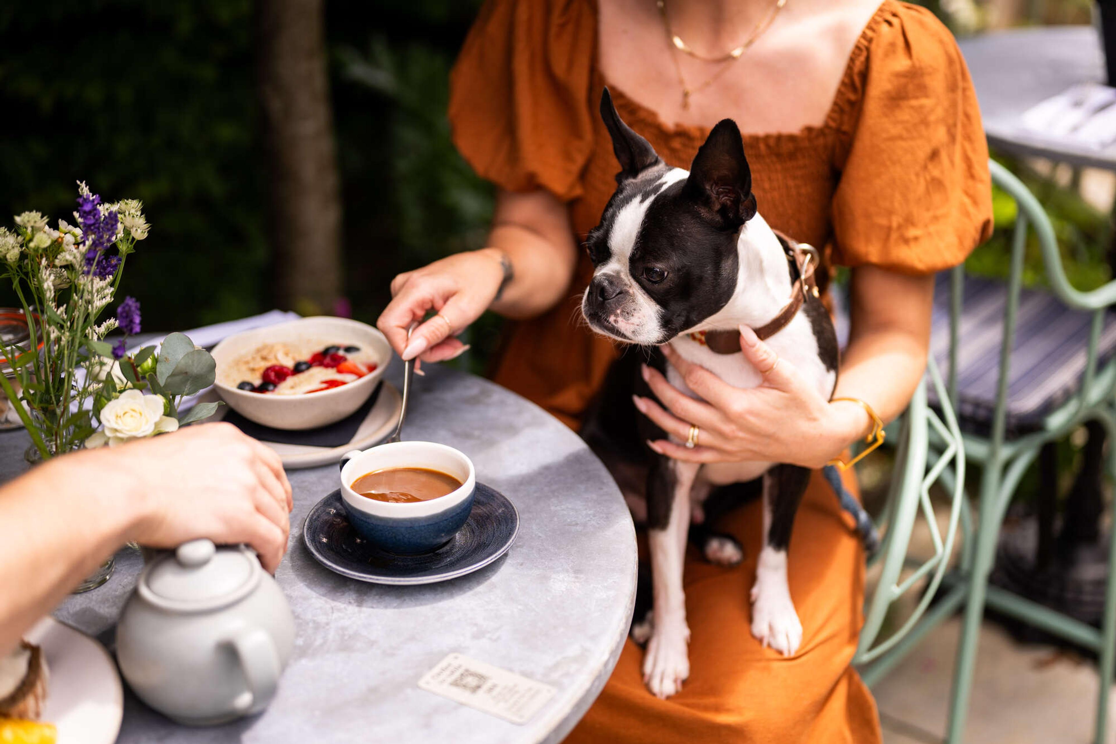 A woman at a garden table holding a Boston terrier, with a bowl of granola, a cup of coffee and a teapot in front of her.