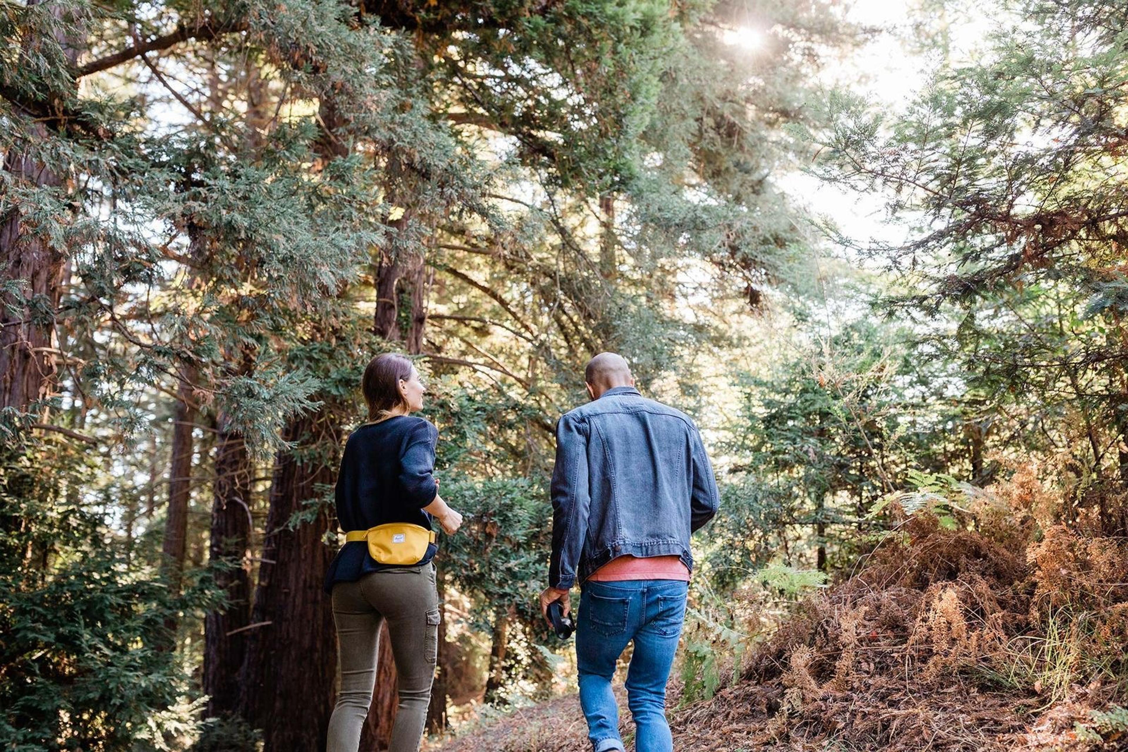 Two people seen from behind walking along a forest trail among tall redwood trees, sunlight breaking through the canopy.