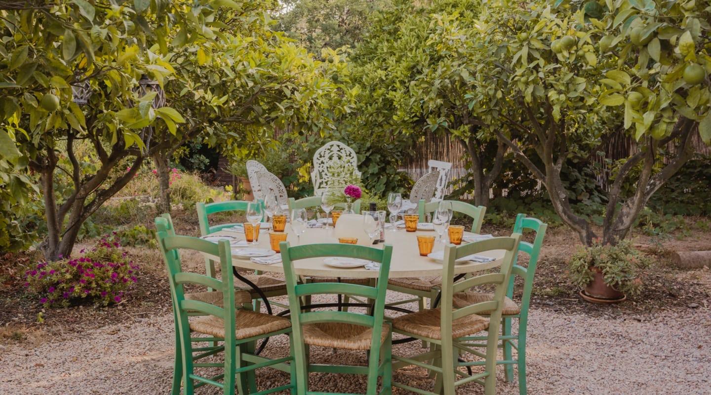 A round table laid with glasses and green wooden chairs in a garden under citrus trees