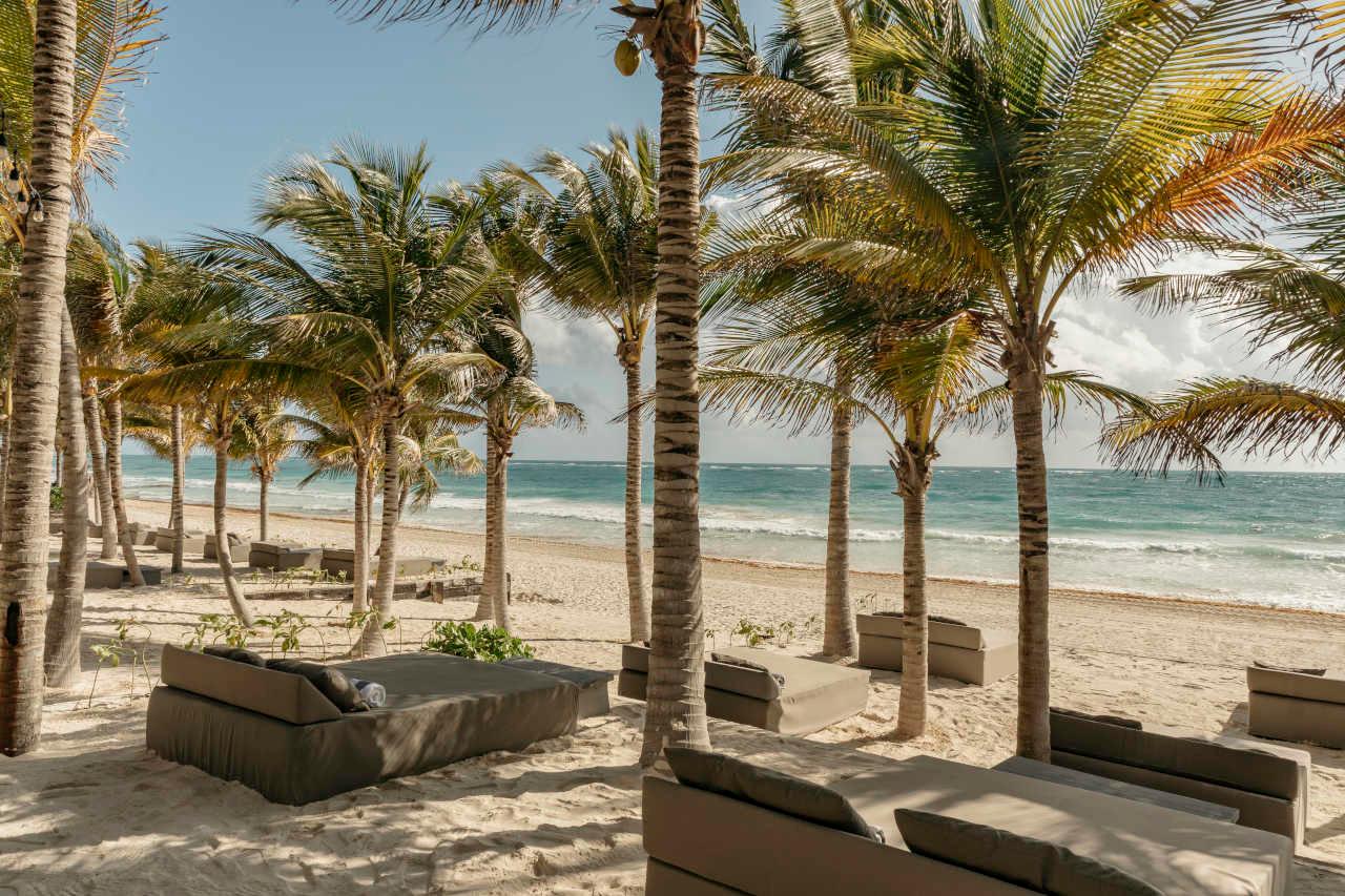 Grey cushioned daybeds set among palm trees on a sandy beach, facing the ocean.