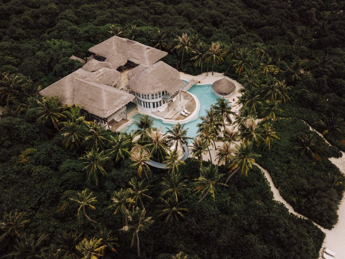 a thatched roof villa with a curved pool, surrounded by dense palm trees, seen from above