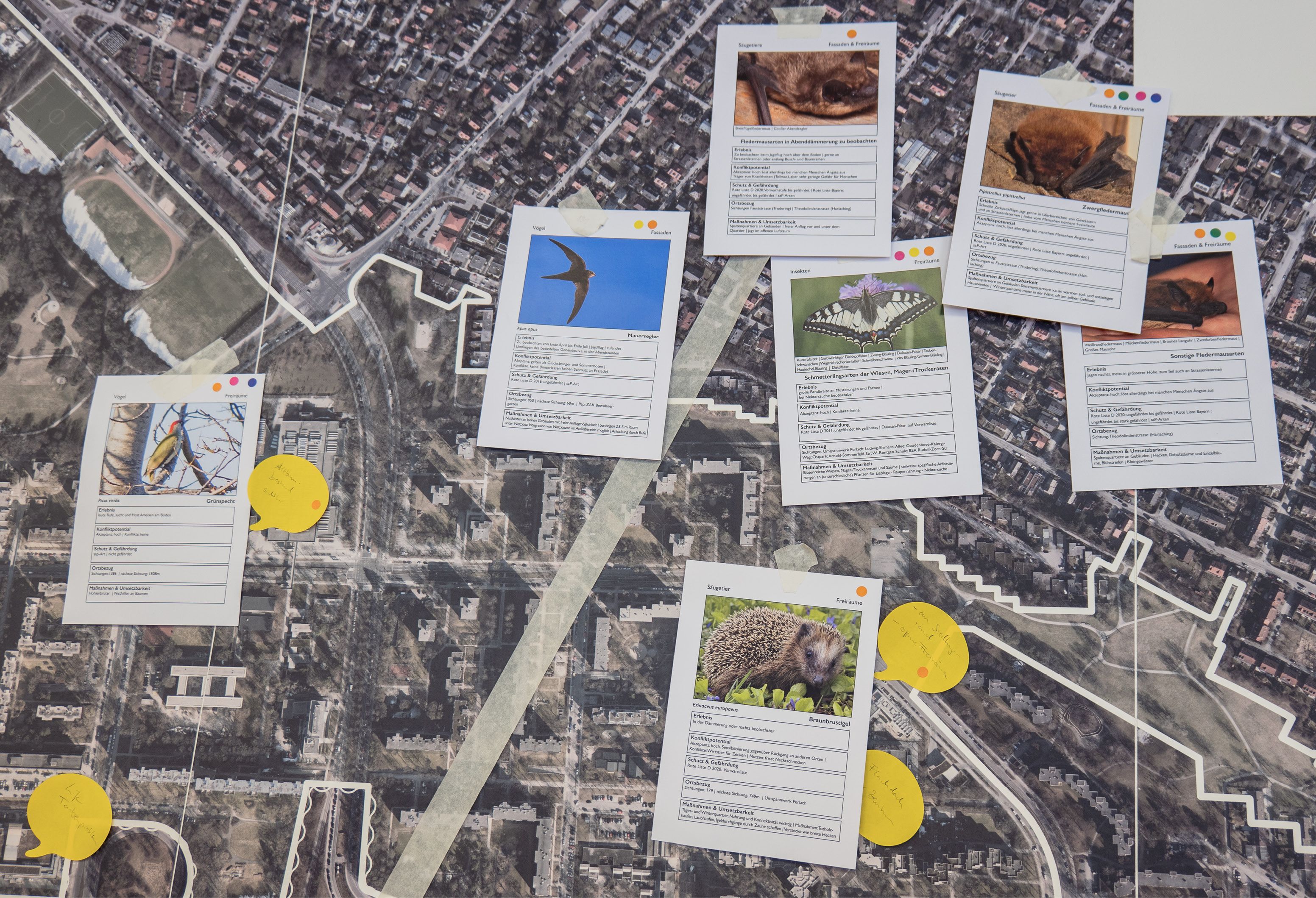 Animal-Aided-Design-Toolbox NEBourhoods Co-Creation New European Bauhaus