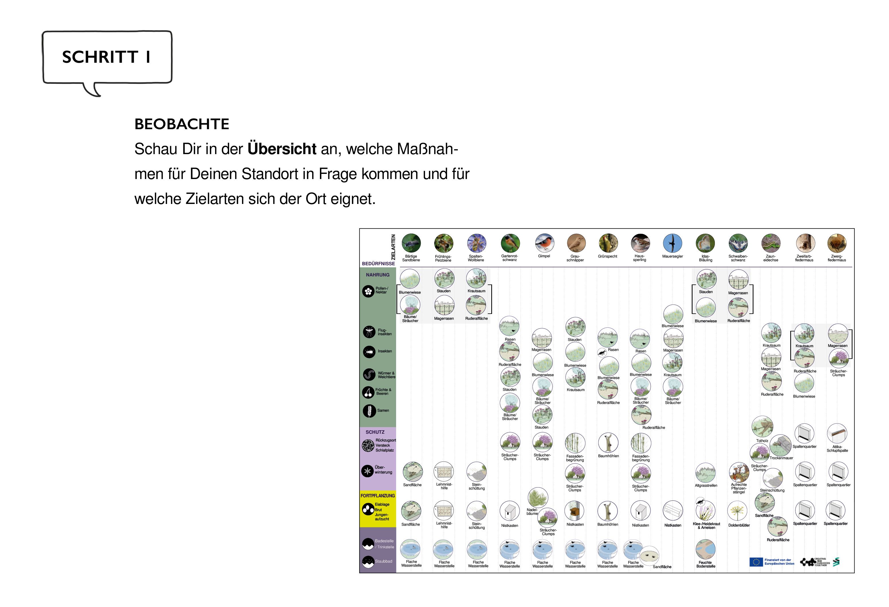 Animal-Aided-Design-Toolbox NEBourhoods Co-Creation New European Bauhaus