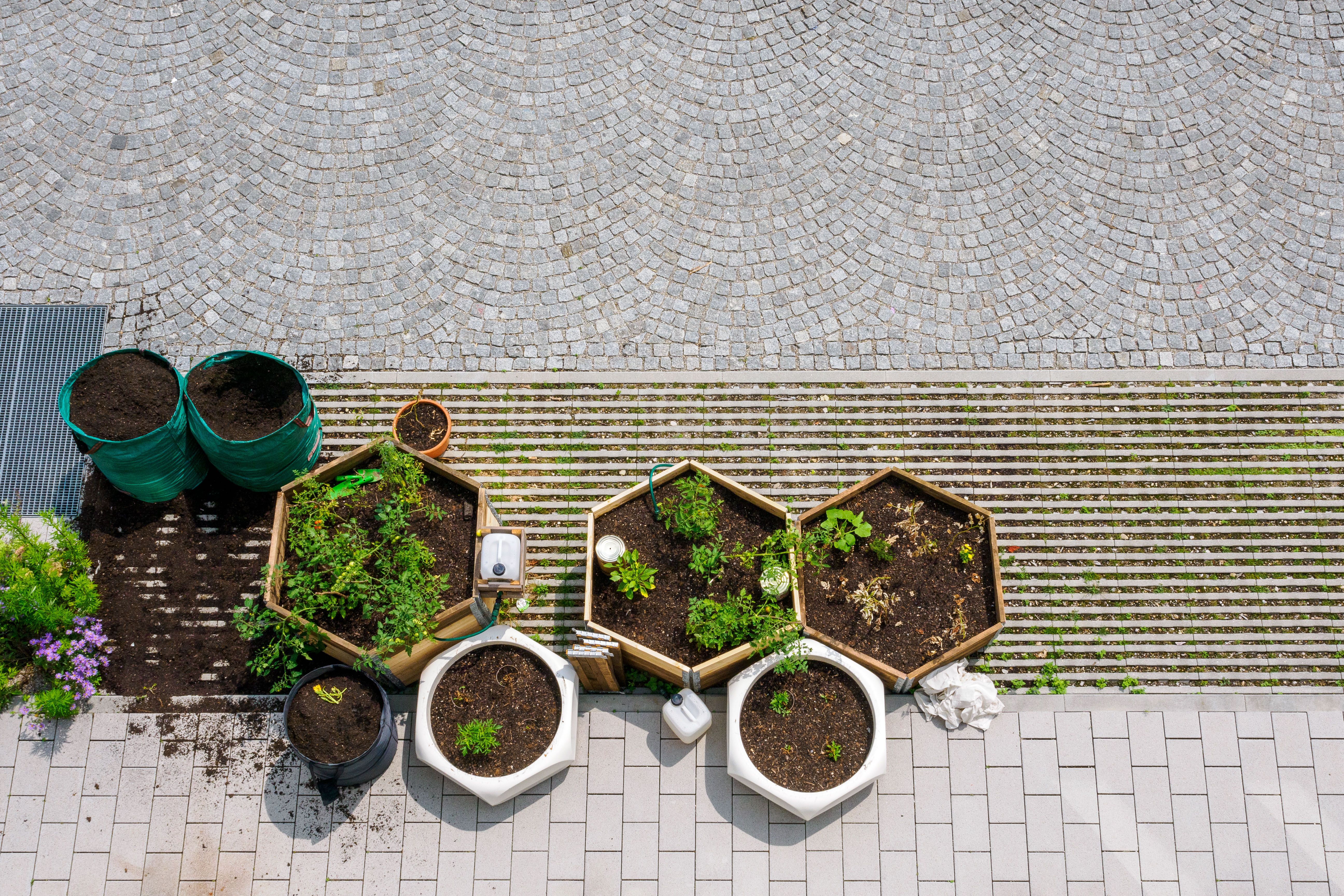 NEBourhoods Gartenbaumodule Hortus di monaco
