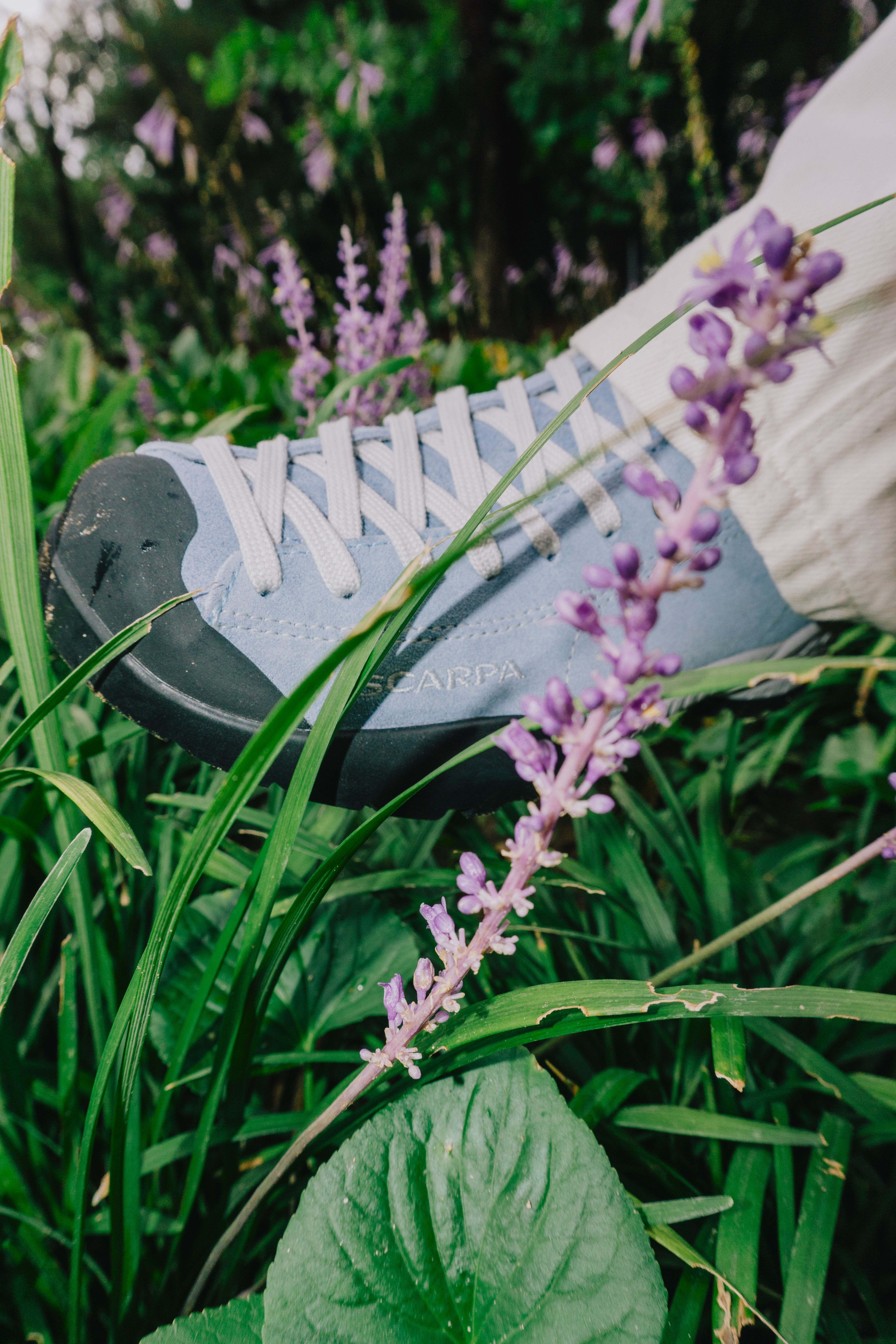 scarpa 2025 campaign