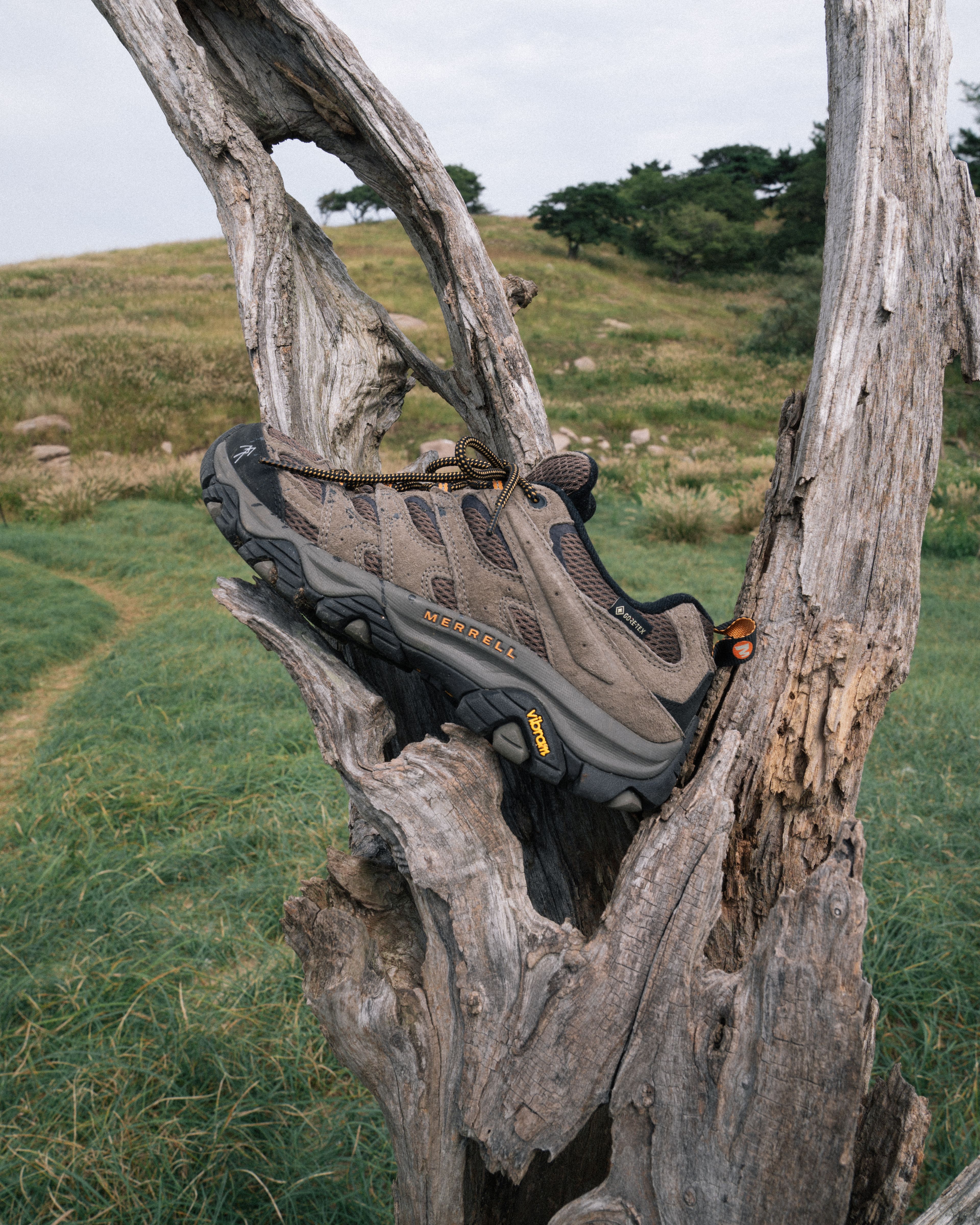 Merrell X Mountain Rover