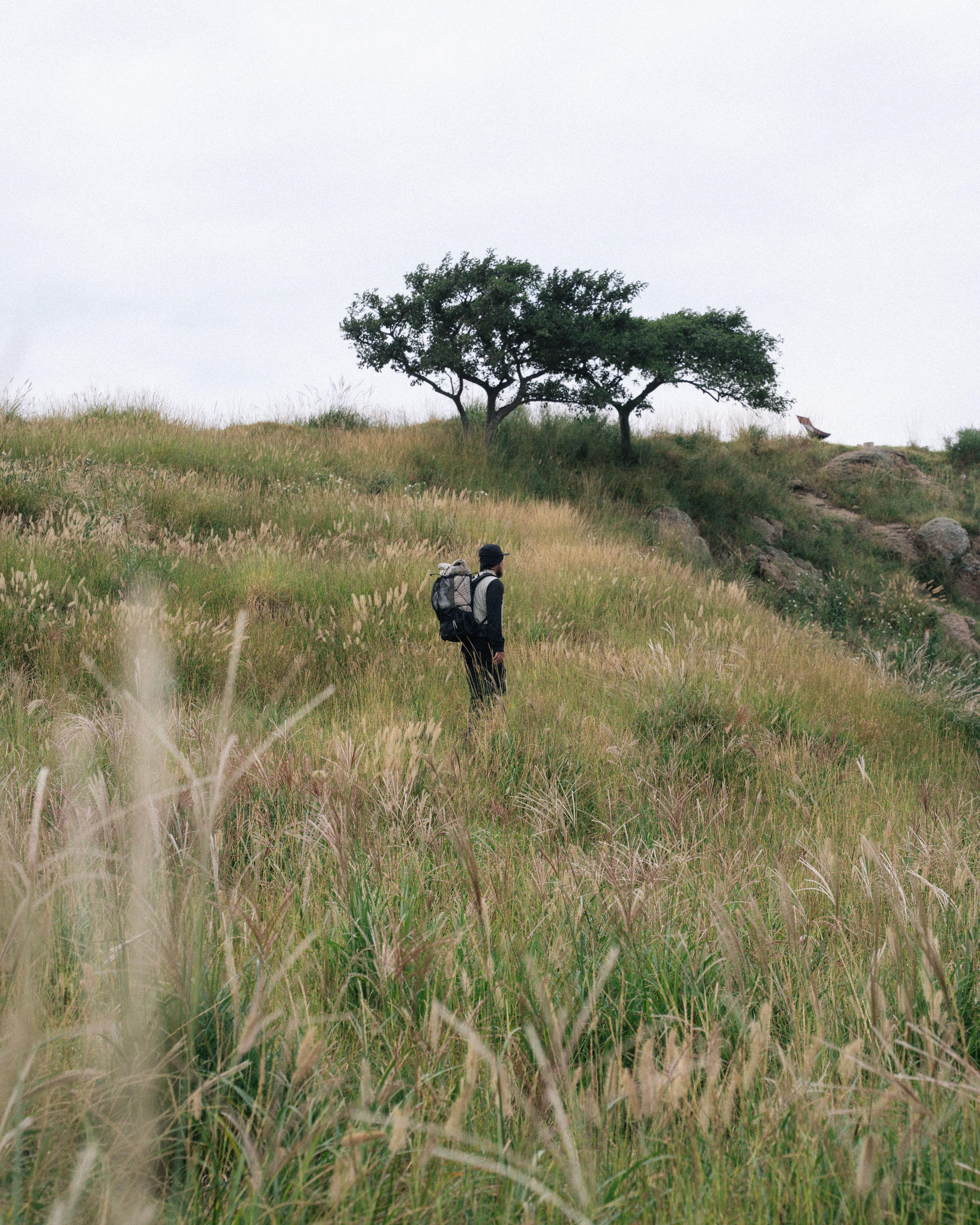 Merrell X Mountain Rover