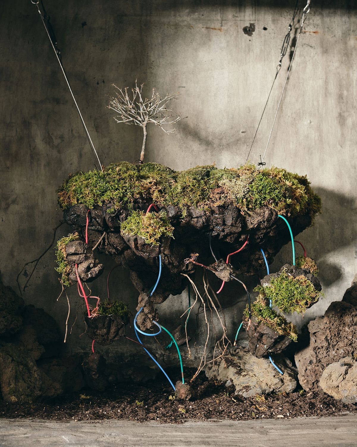 gray-shop-opening-celebration