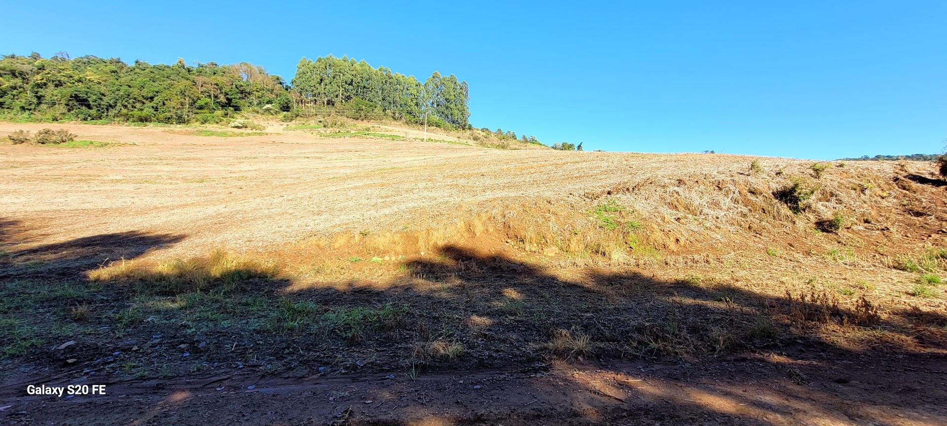 Área Rural 14ha — Linha Três, Erechim — foto 2