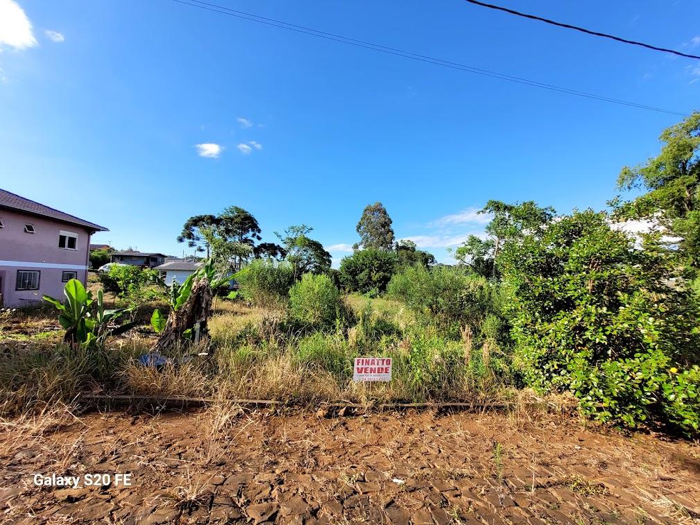 Terreno Loteamento Balchum — Barão de Cotegipe/RS — foto 1