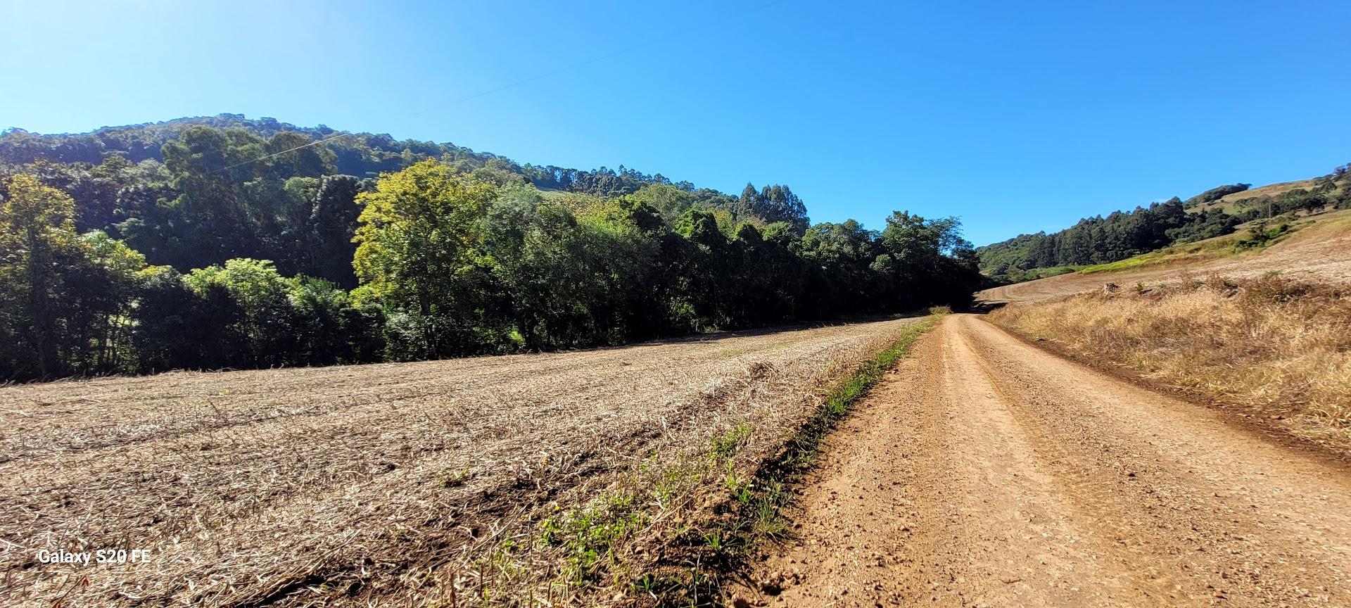 Área Rural 14ha — Linha Três, Erechim — foto 8