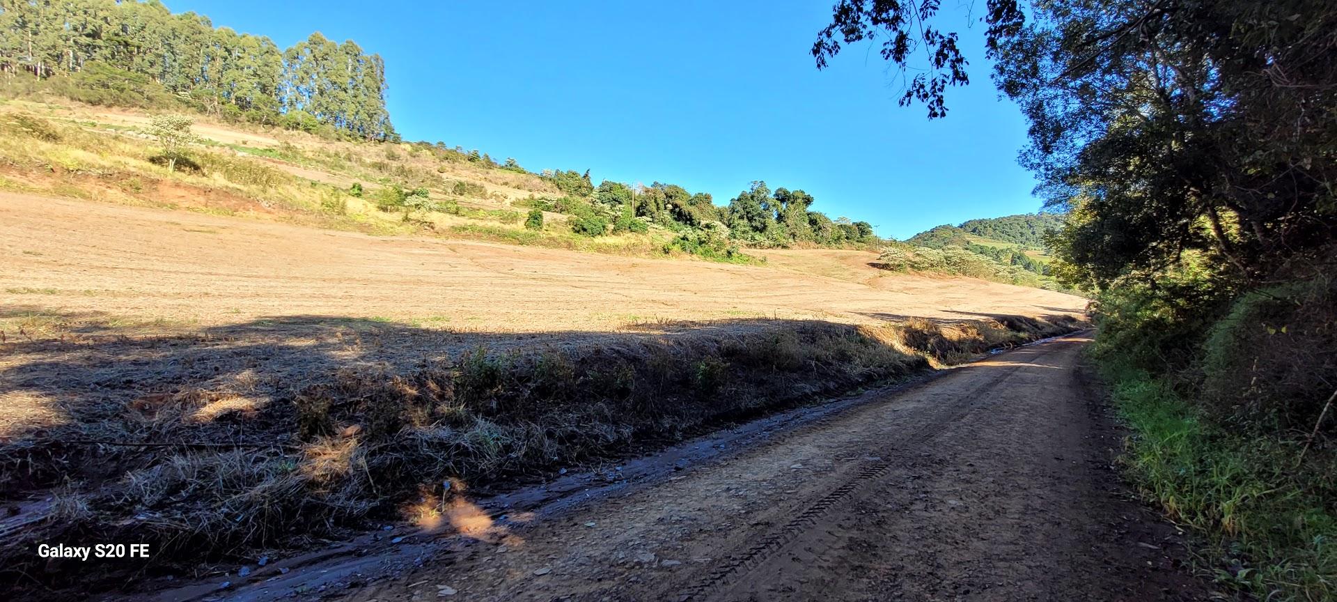 Área Rural 14ha — Linha Três, Erechim — foto 1