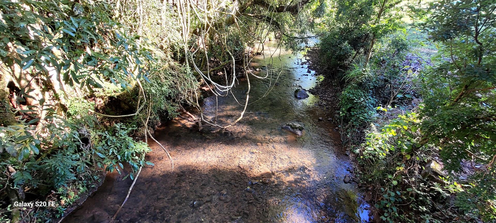 Área Rural 14ha — Linha Três, Erechim — foto 6