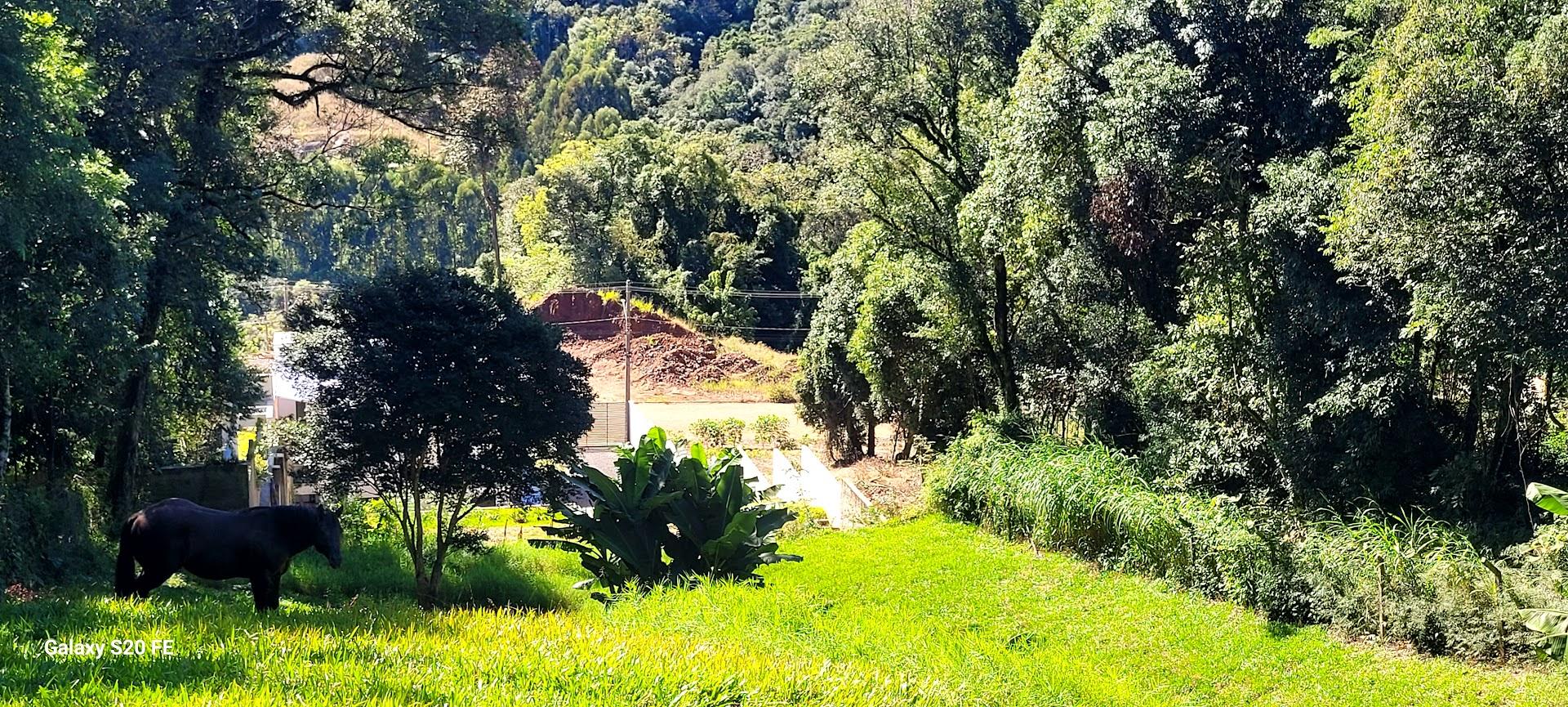 Vista para o loteamento Verdes Vales