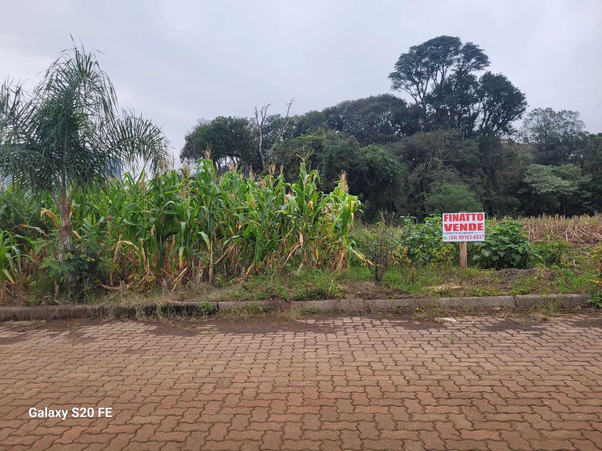 Terreno em Barão de Cotegipe/RS — foto 2