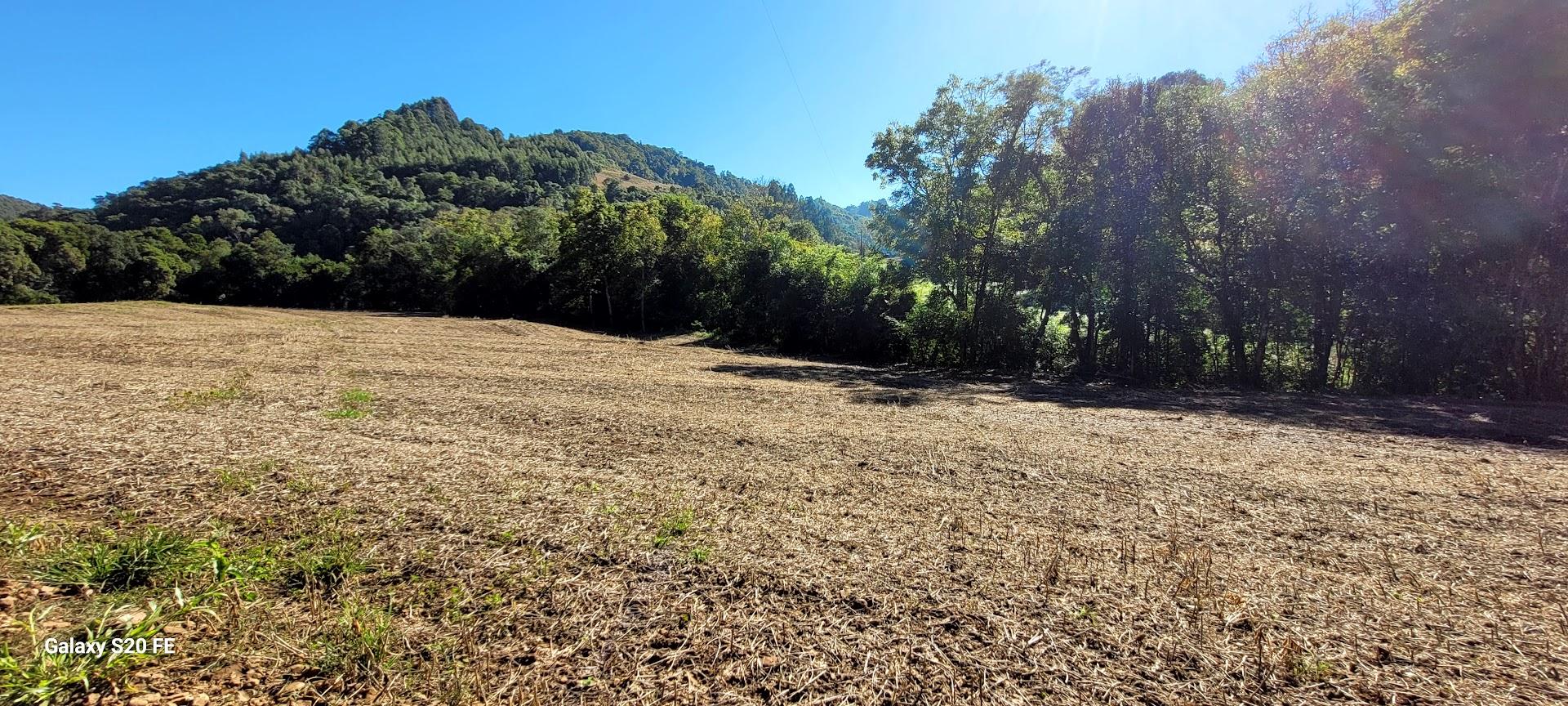 Área Rural 14ha — Linha Três, Erechim — foto 7