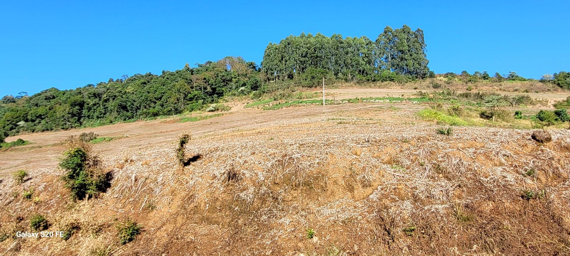 Área Rural 14ha — Linha Três, Erechim — foto 3
