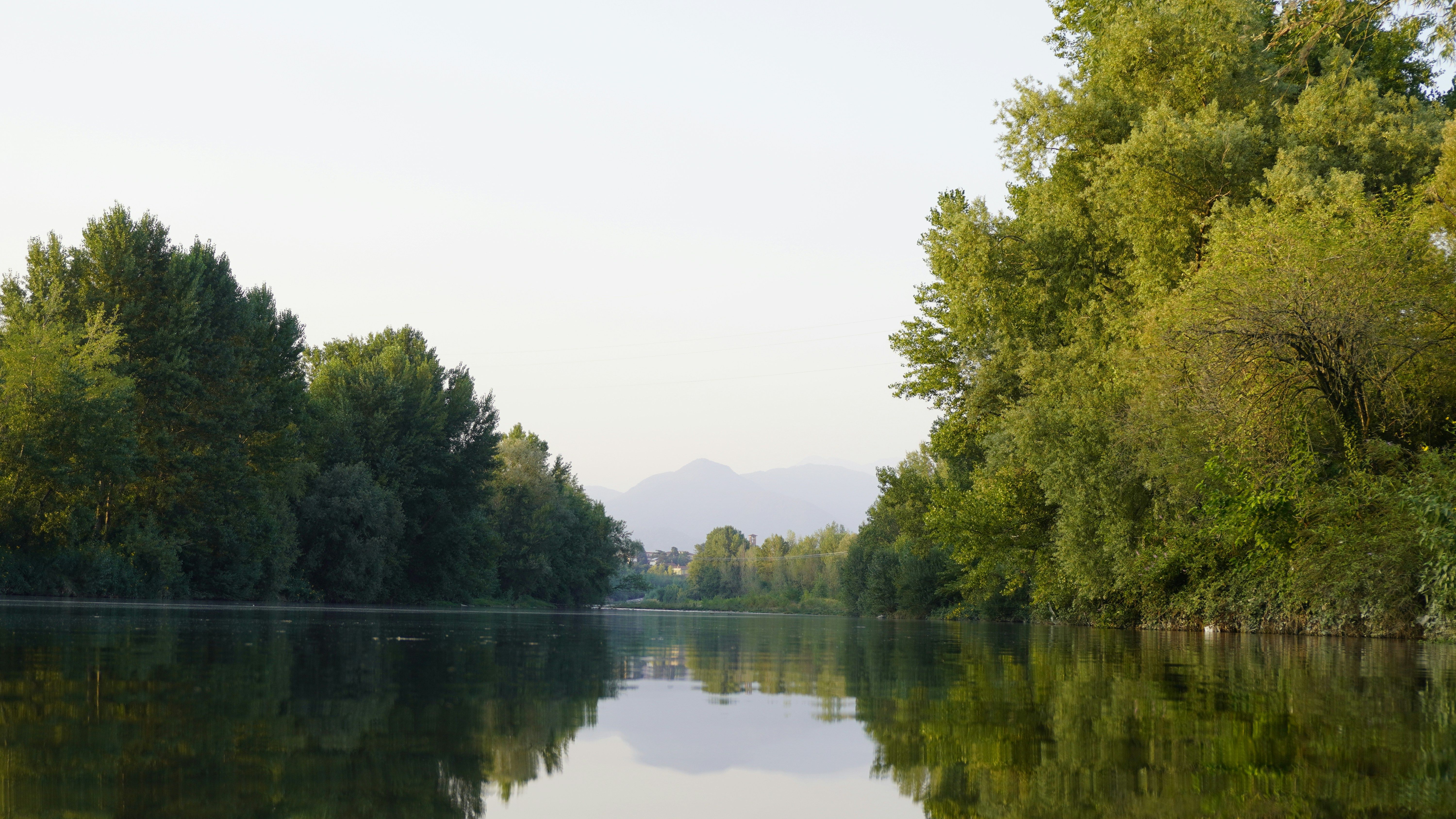 View of reflective lake water surrounded be trees.