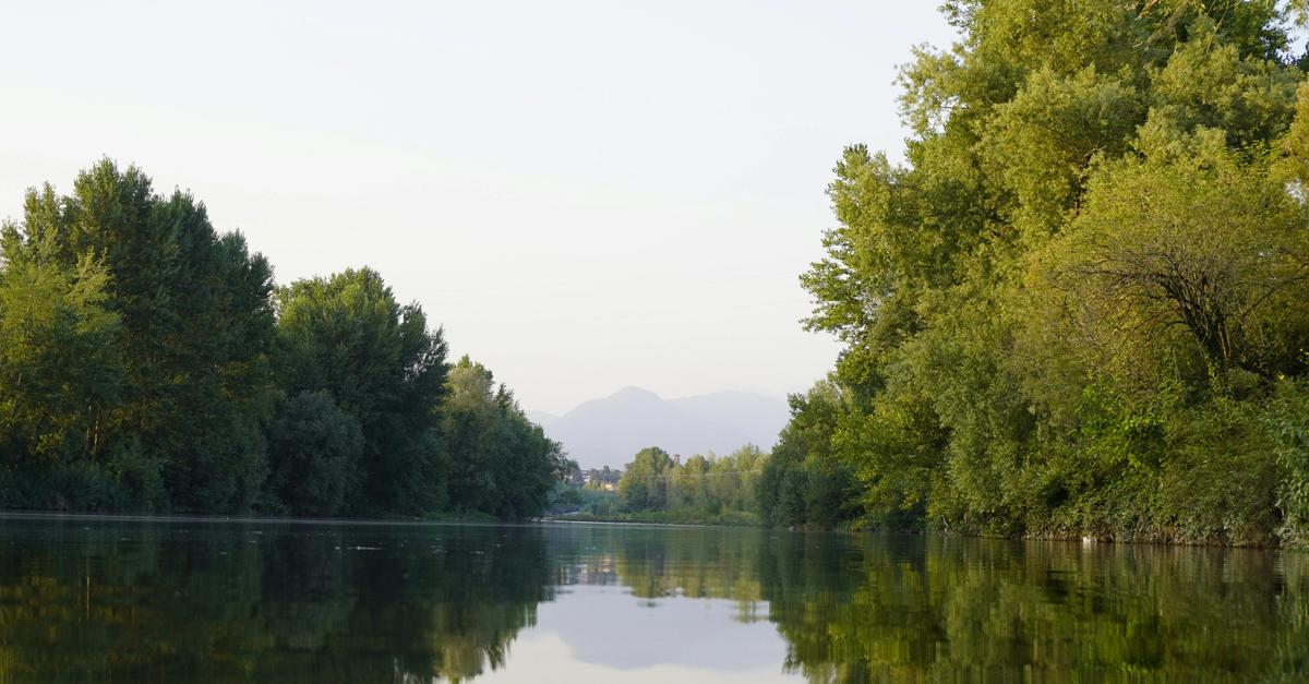 View of reflective lake water surrounded be trees.