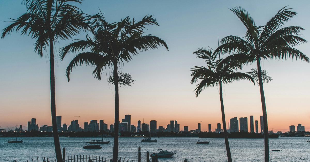 View of palm trees and the coast with boats in Florida.