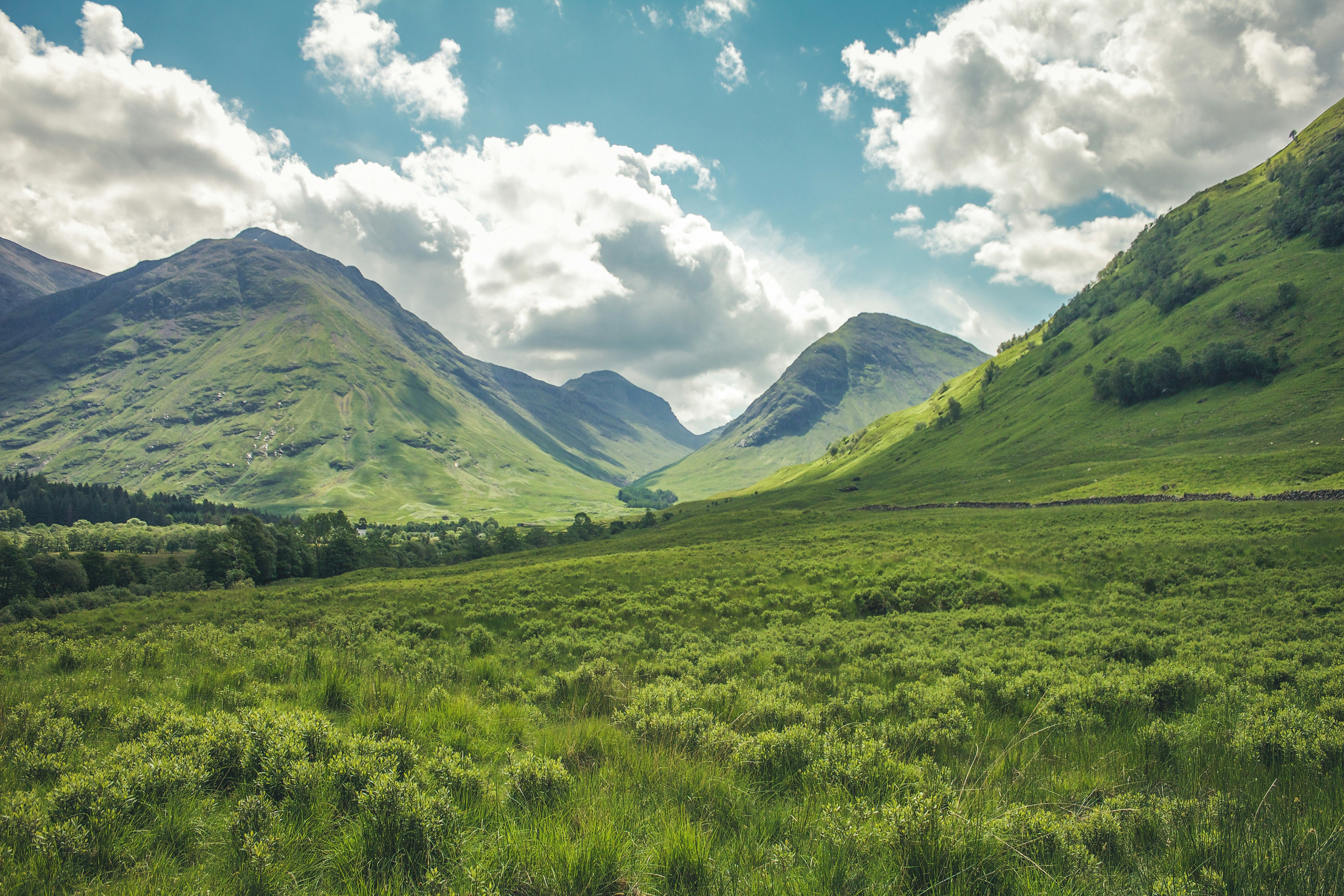 Green fields with a blue sky and hillside mountain backdrop.