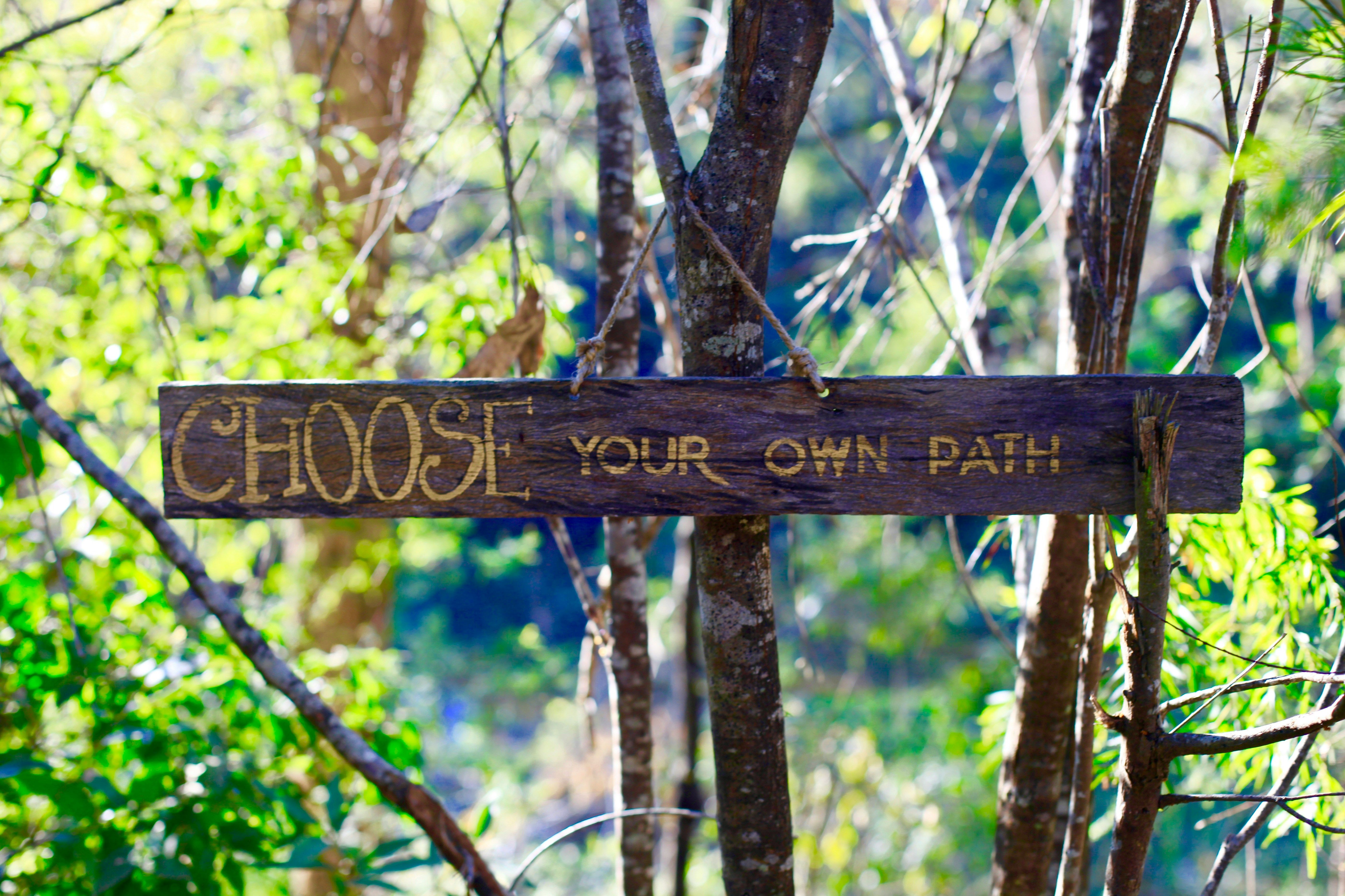 A signed reading "Choose your own path" in the woods by Kate branch.