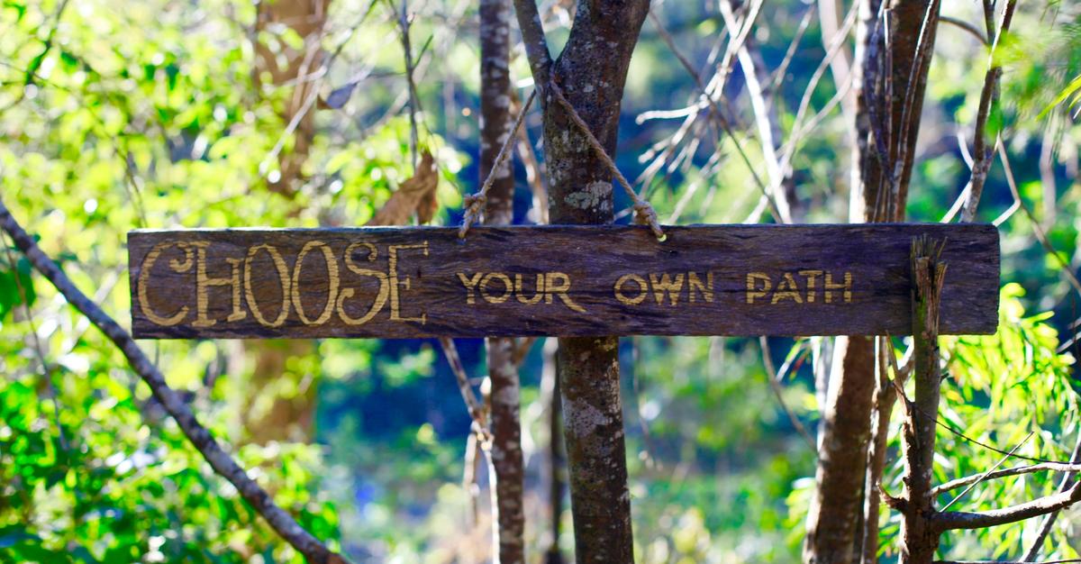 A signed reading "Choose your own path" in the woods by Kate branch.