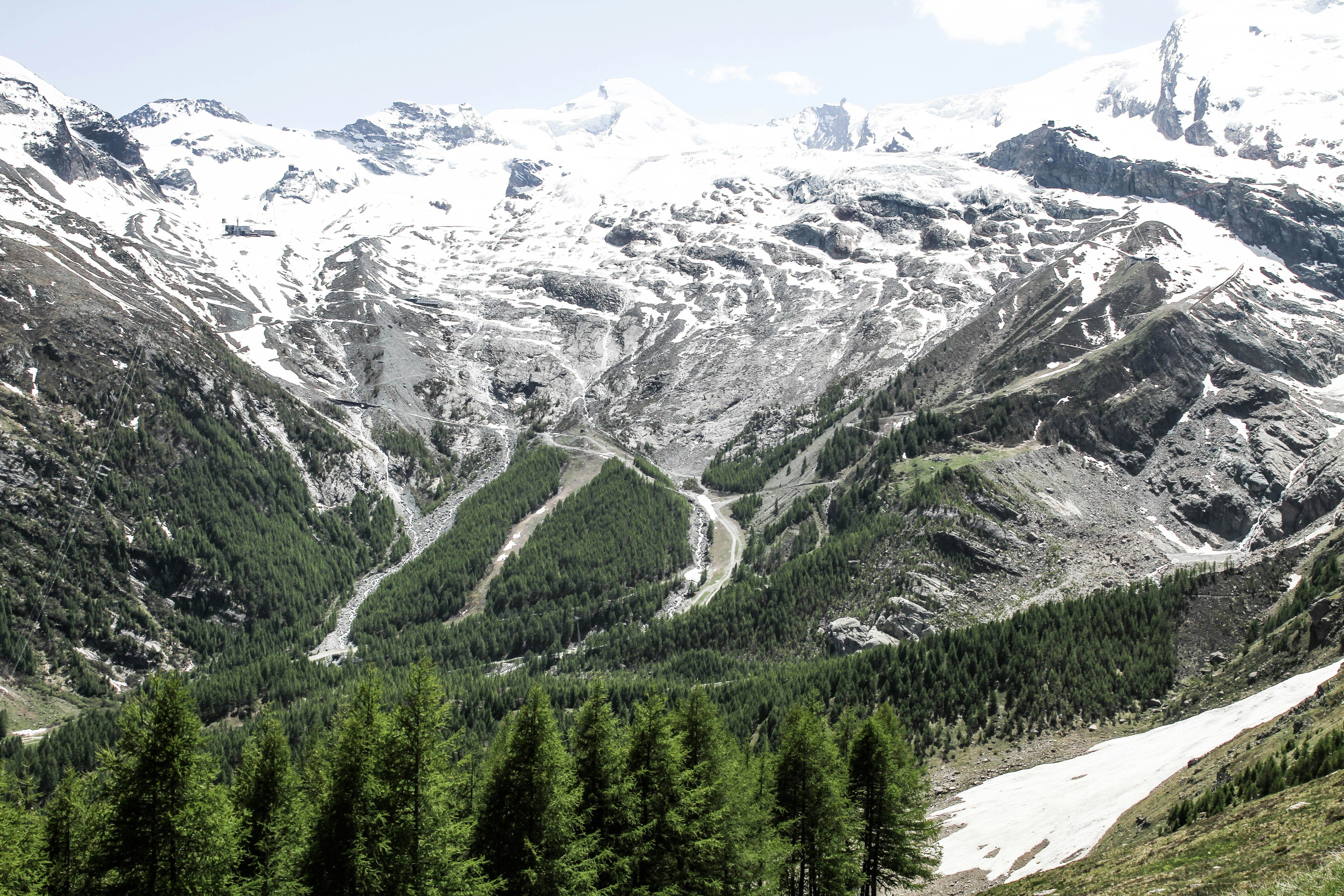 Trees in between a snowy mountain pass.