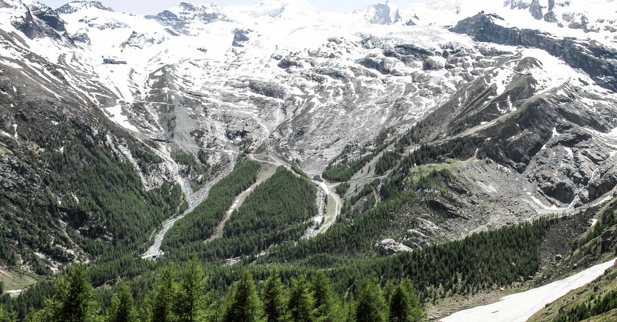 Trees in between a snowy mountain pass.