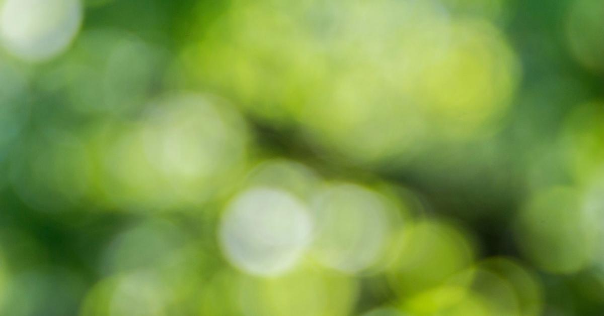 Blurred image with green light circles.