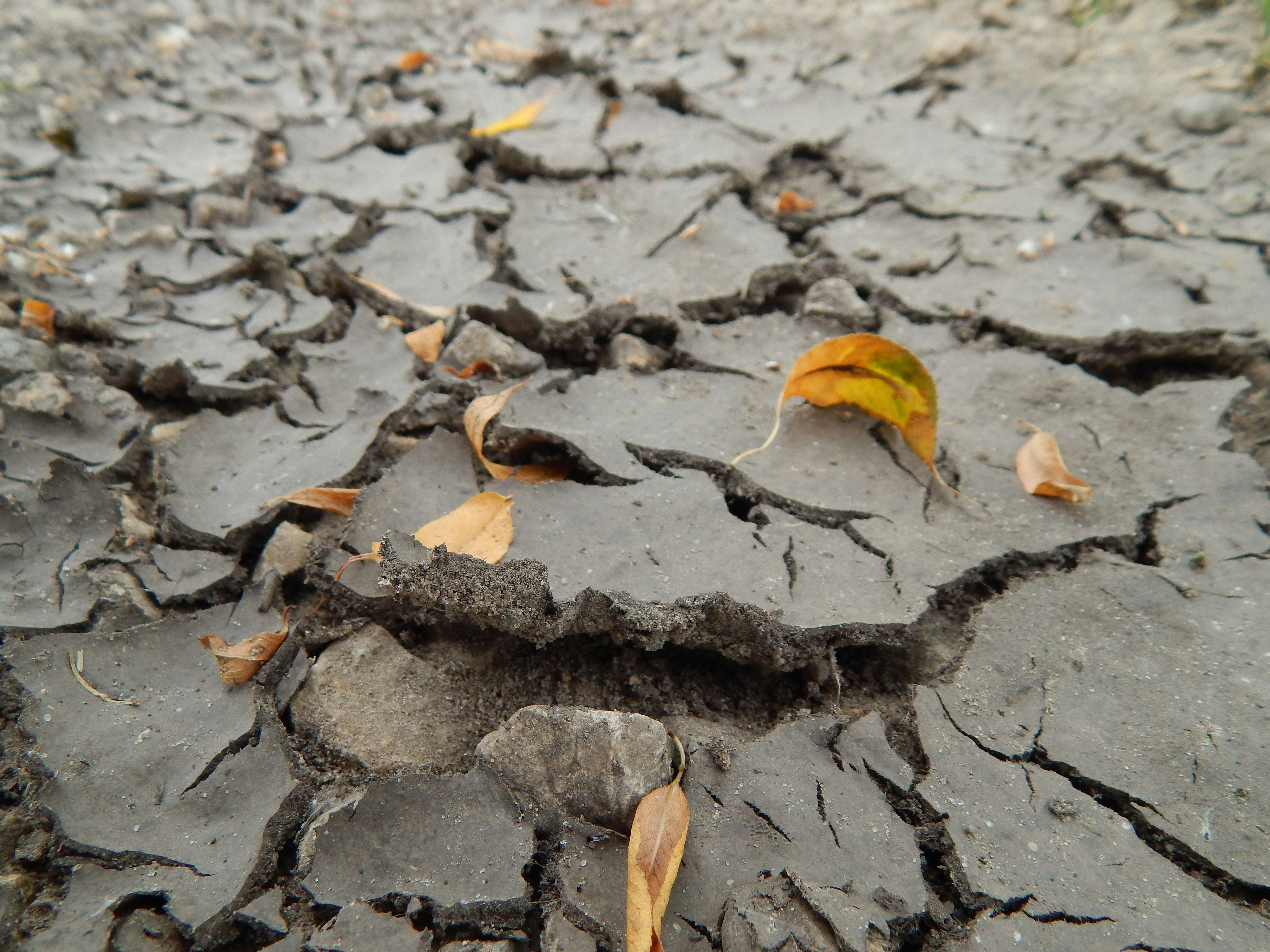 Broken earth and mud by Josie Weiss.