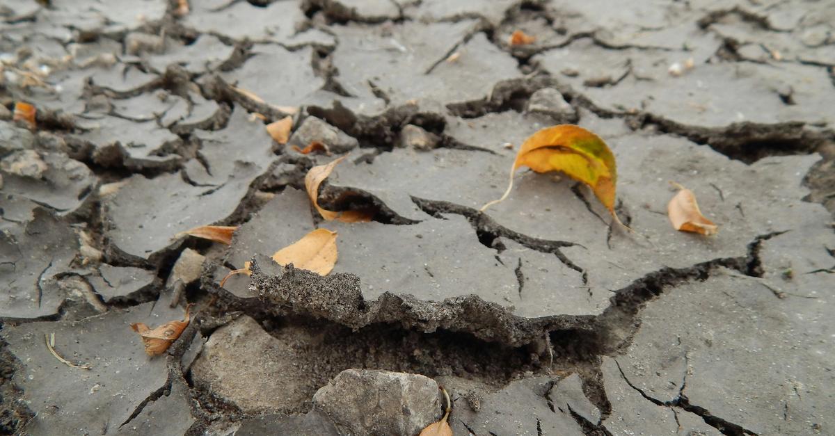 Broken earth and mud by Josie Weiss.