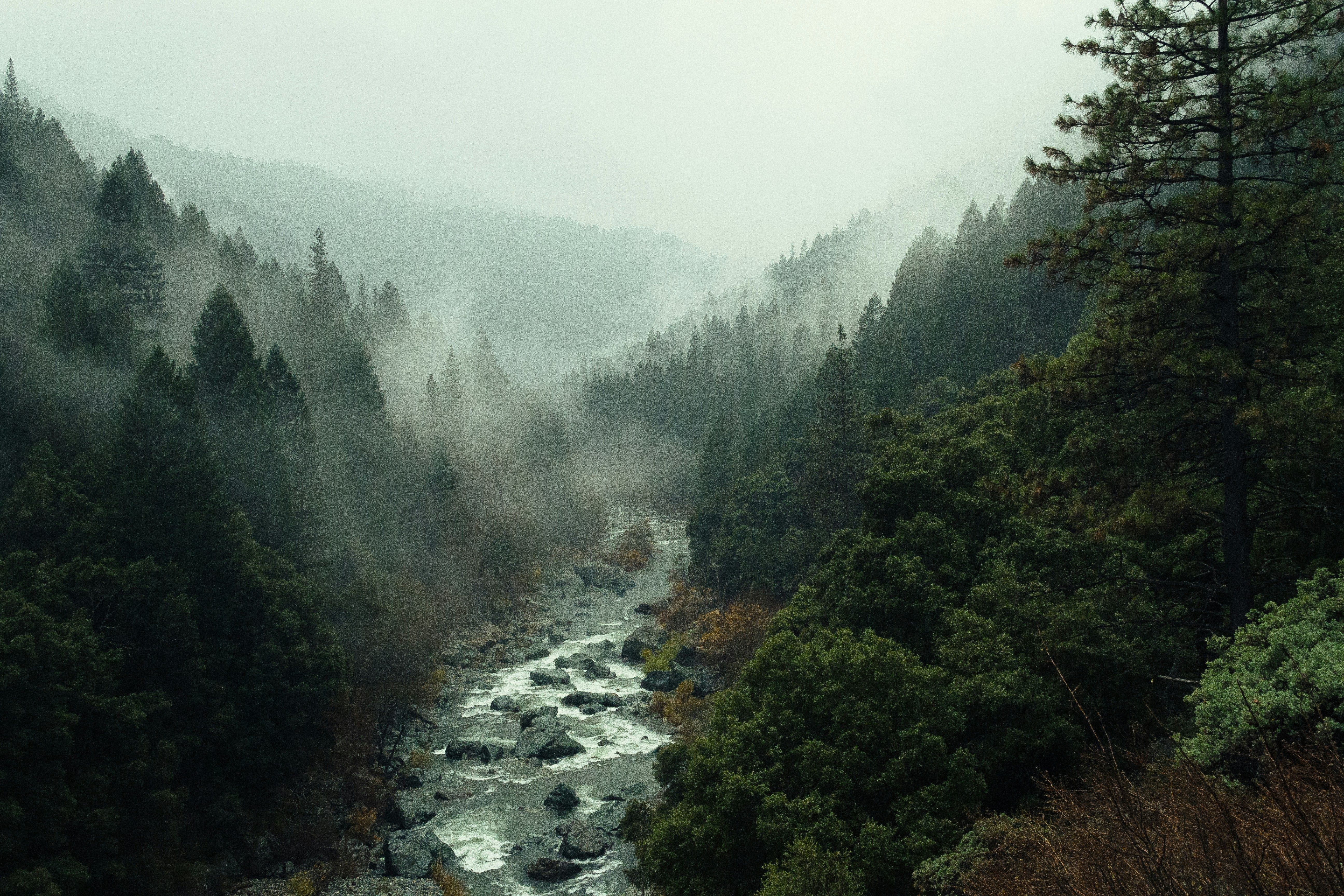 A running river in between a hilly area with trees.