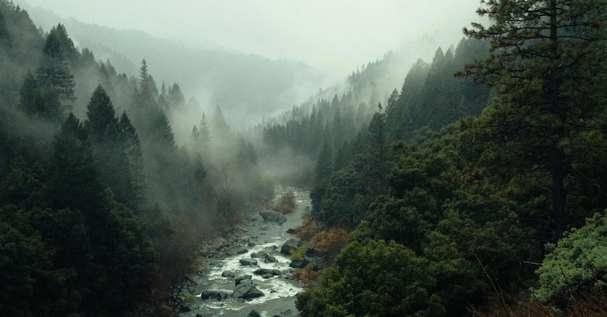 A running river in between a hilly area with trees.